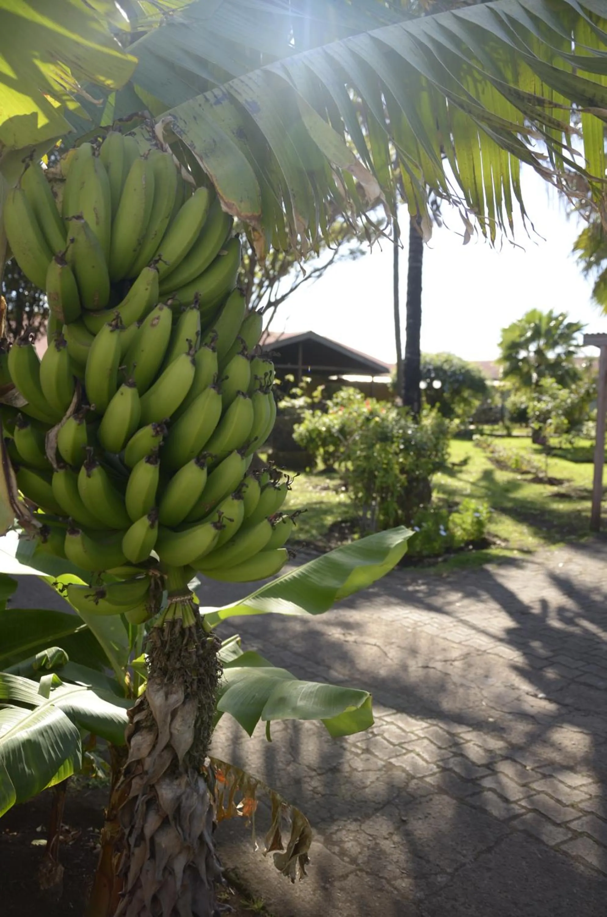 Day in Hotel Manutara