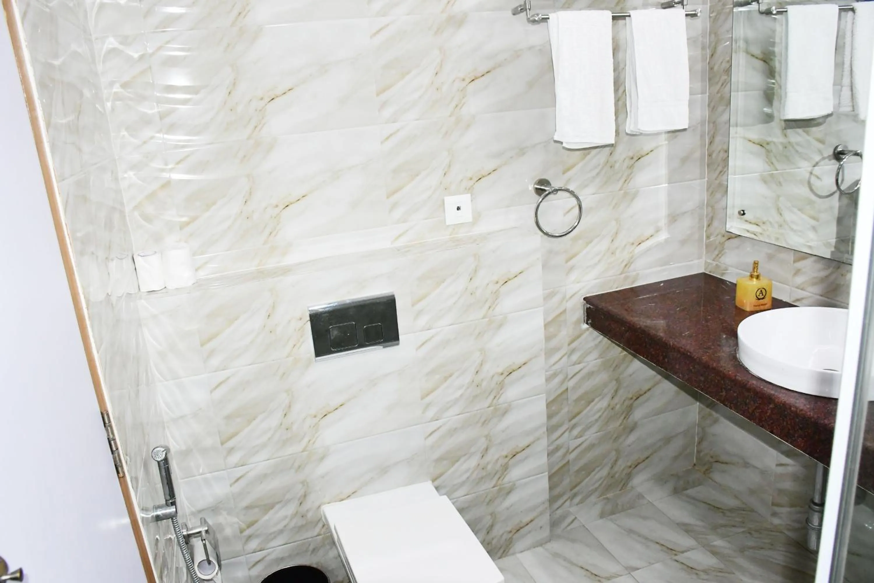 Toilet in HOTEL ANAND INTERNATIONAL