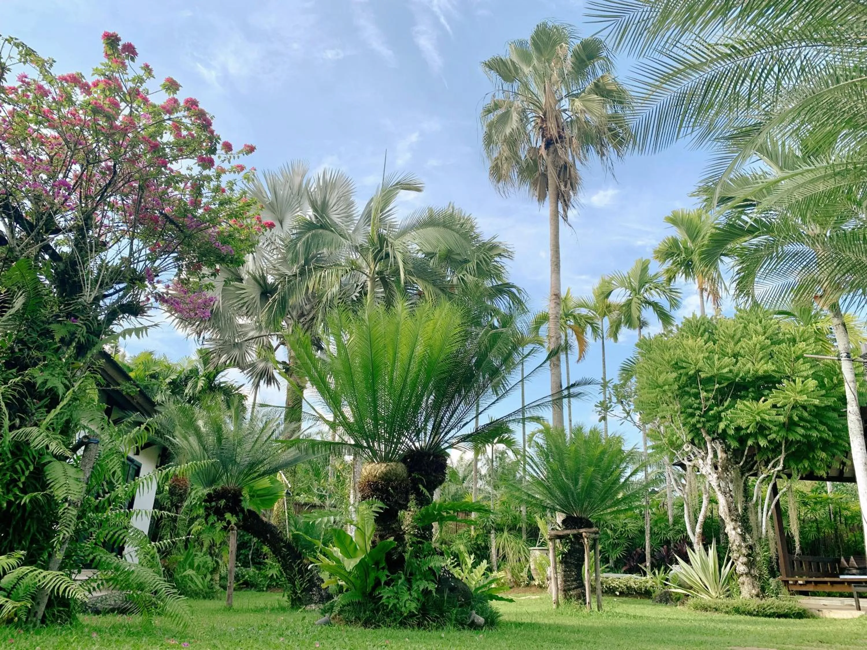 Garden in Baan Pinya Balinese Style Pool Villa