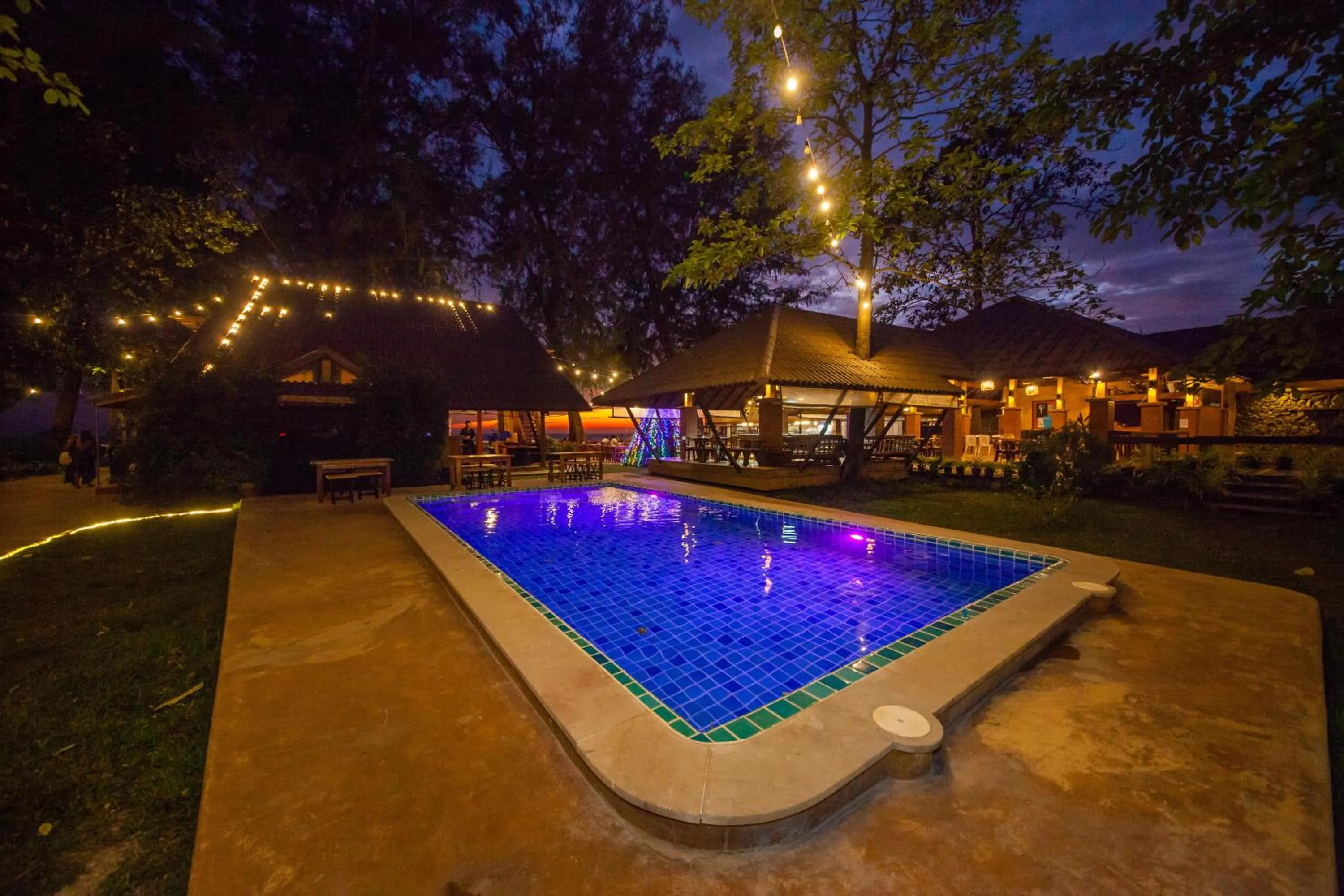 Night in Flora I Talay