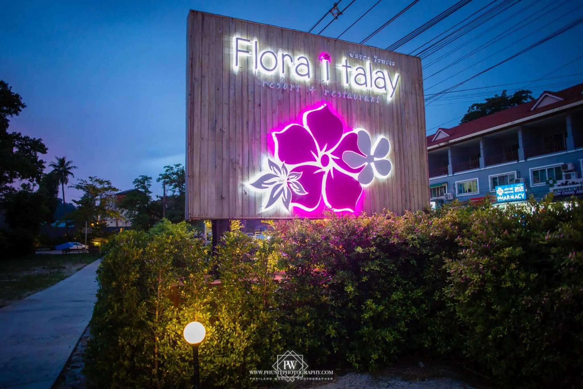 Night in Flora I Talay