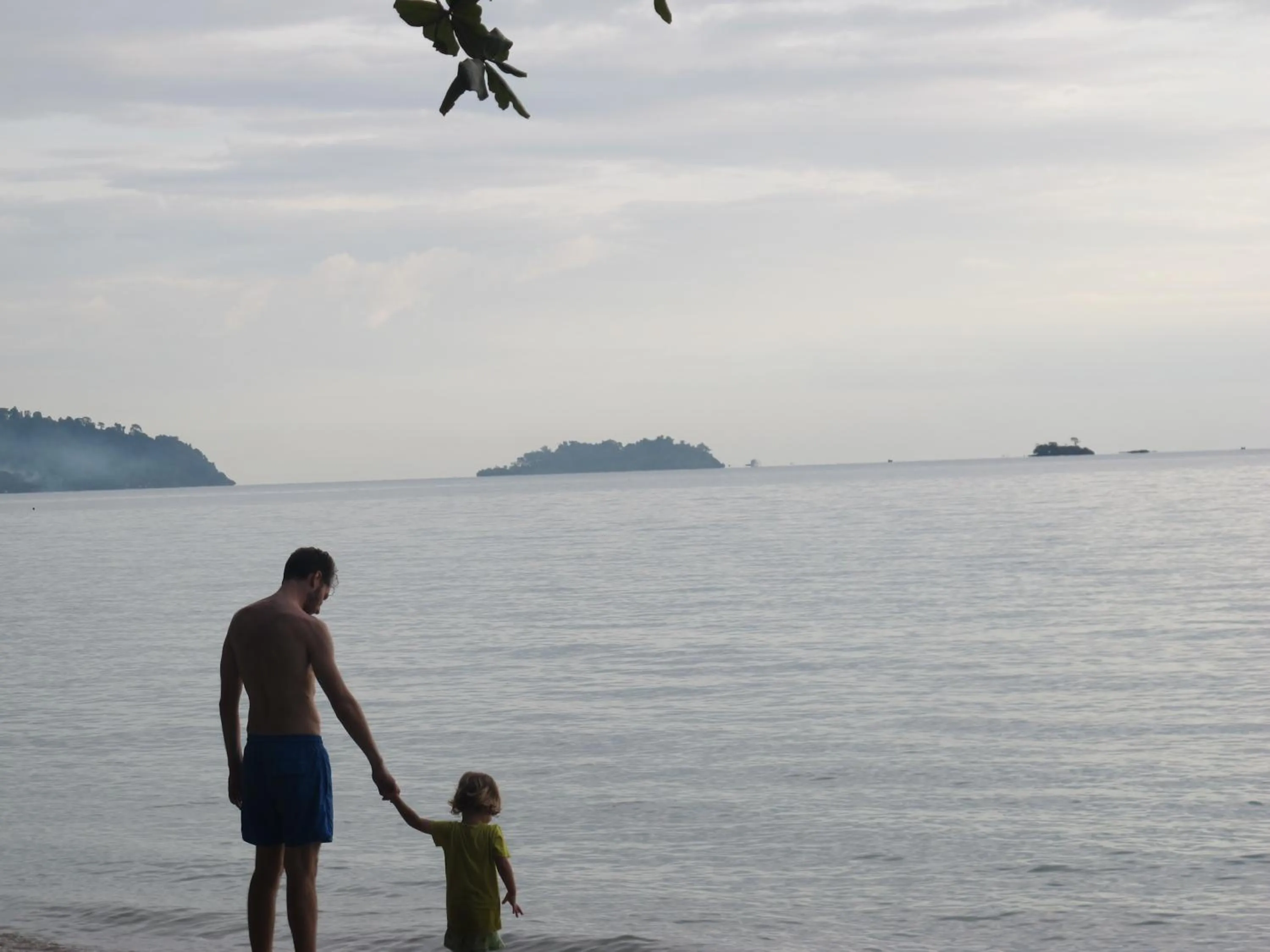 Day in Flora I Talay