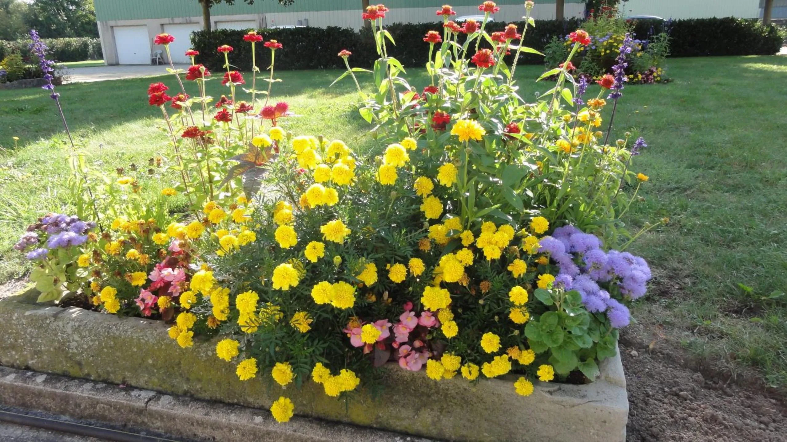 Spring in CHEZ PIERRE