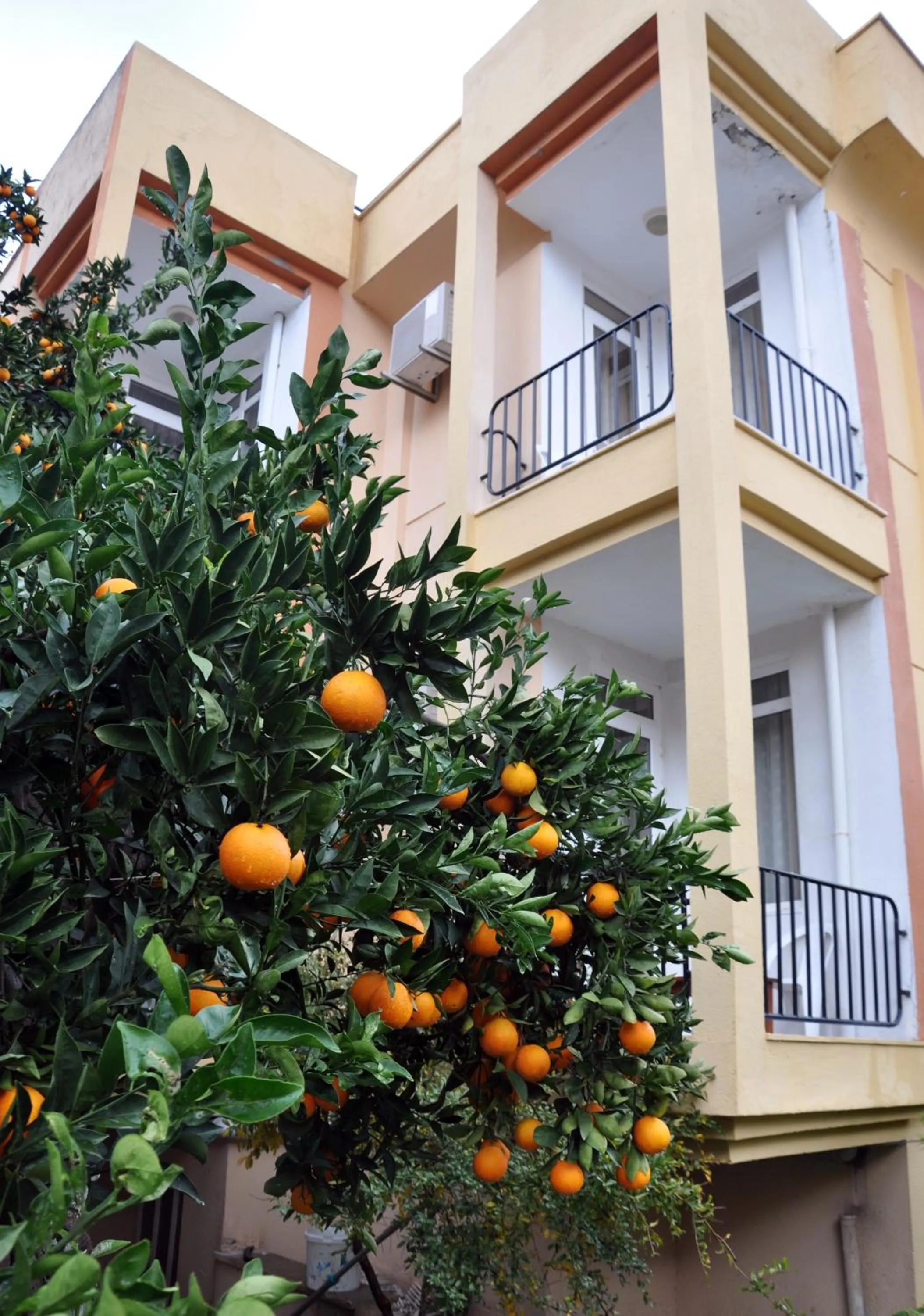 Bird's eye view in Tuncer Garden Hotel