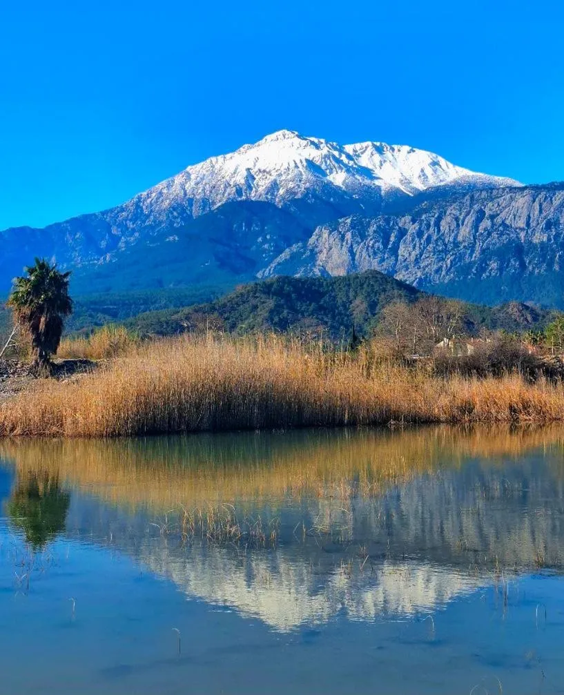 Nearby landmark in Tuncer Garden Hotel