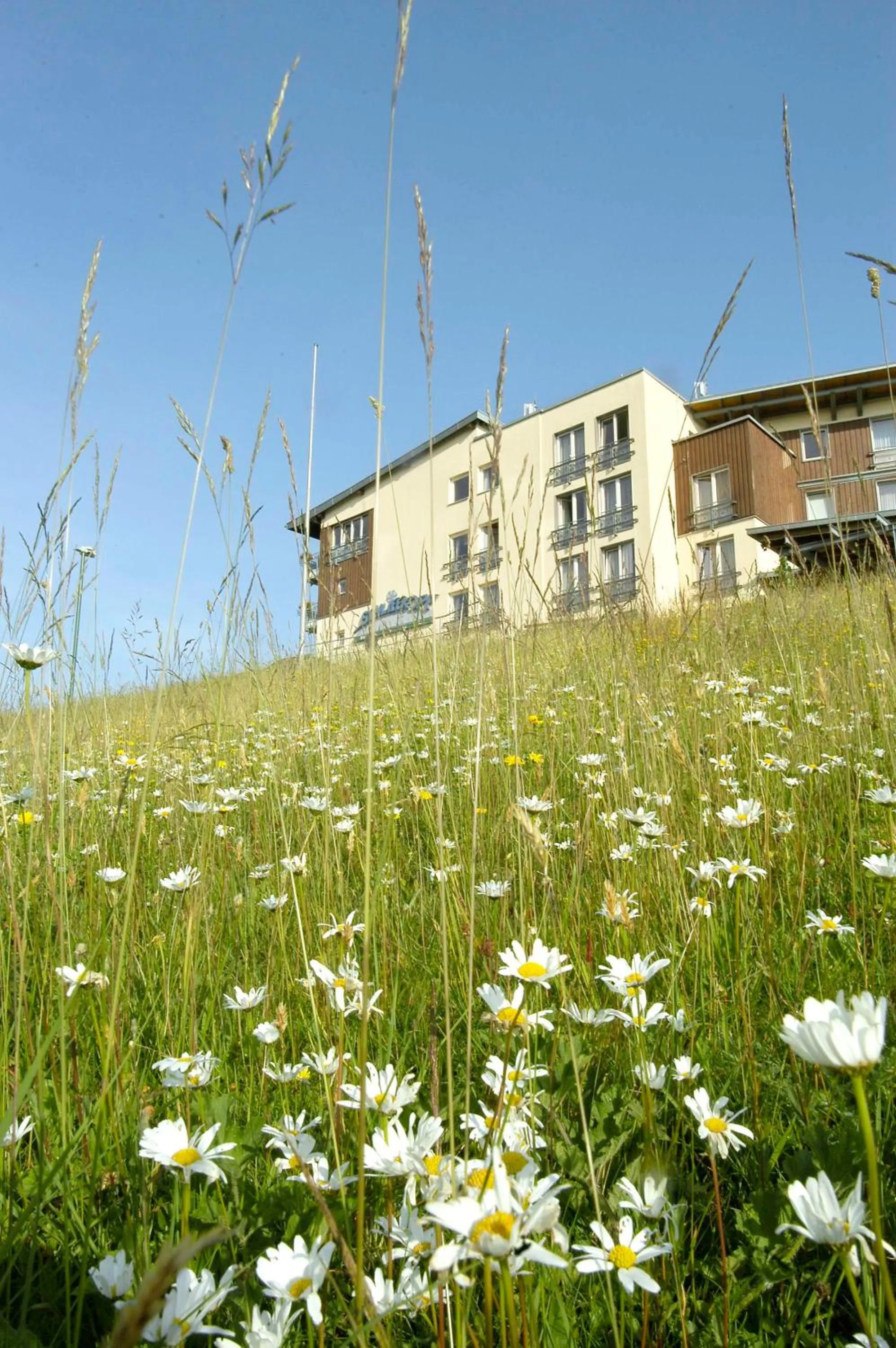 Property building in Wellness-& Nationalpark Hotel Schliffkopf, BWSC