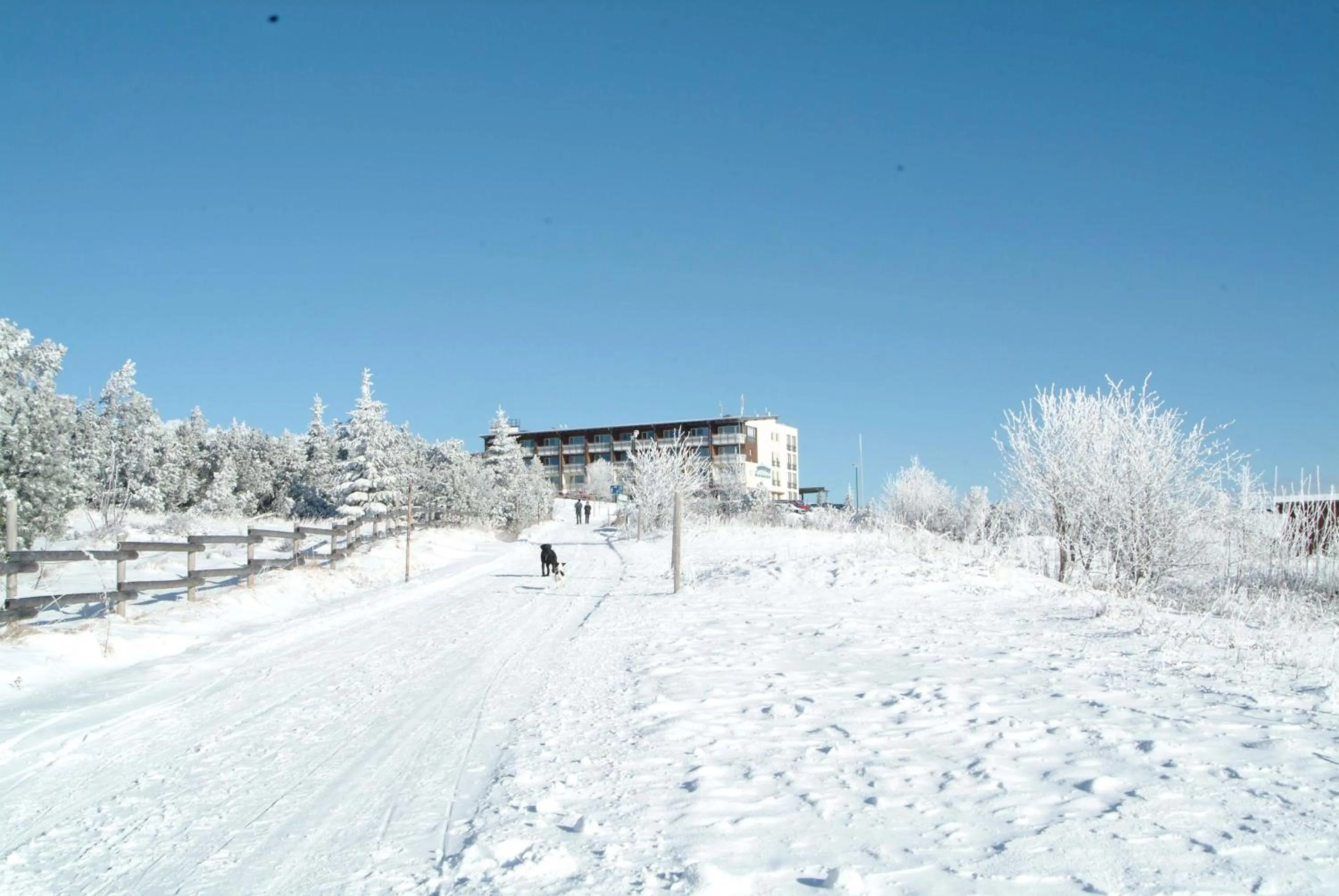 Property building in Wellness-& Nationalpark Hotel Schliffkopf, BWSC