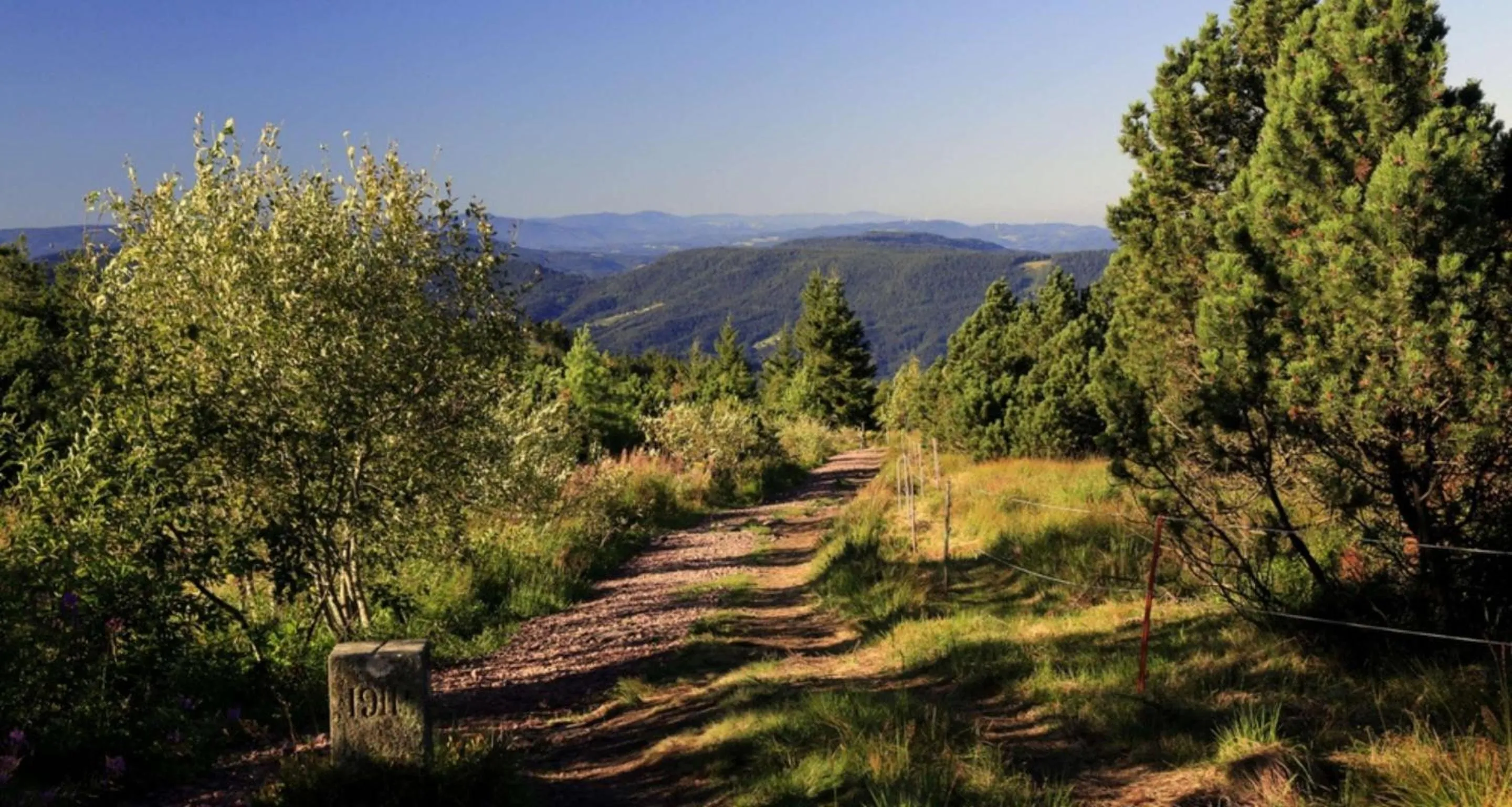 Nearby landmark in Wellness-& Nationalpark Hotel Schliffkopf, BWSC