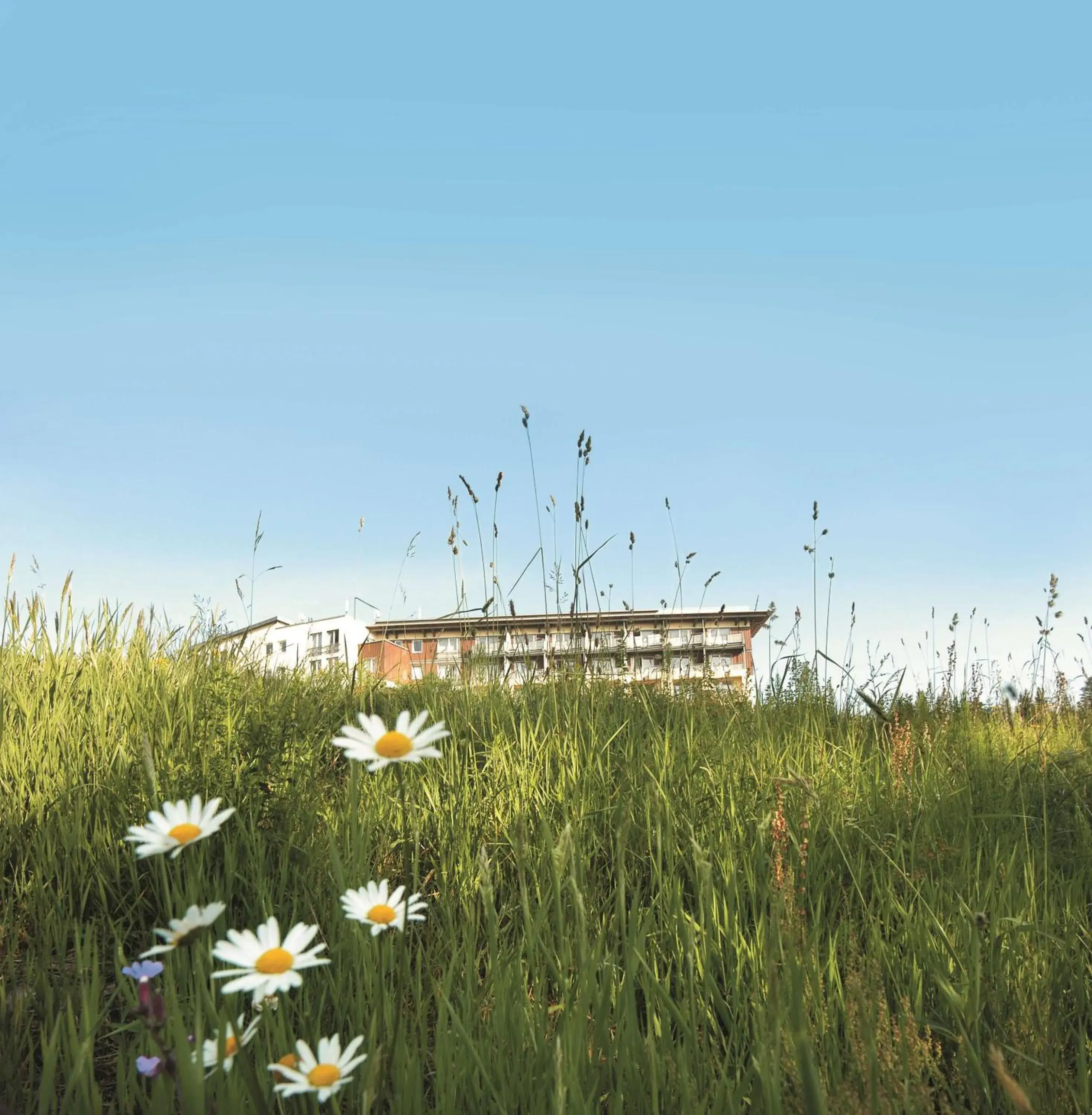 Property building in Wellness-& Nationalpark Hotel Schliffkopf, BWSC Property building in Wellness-& Nationalpark Hotel Schliffkopf, BWSC