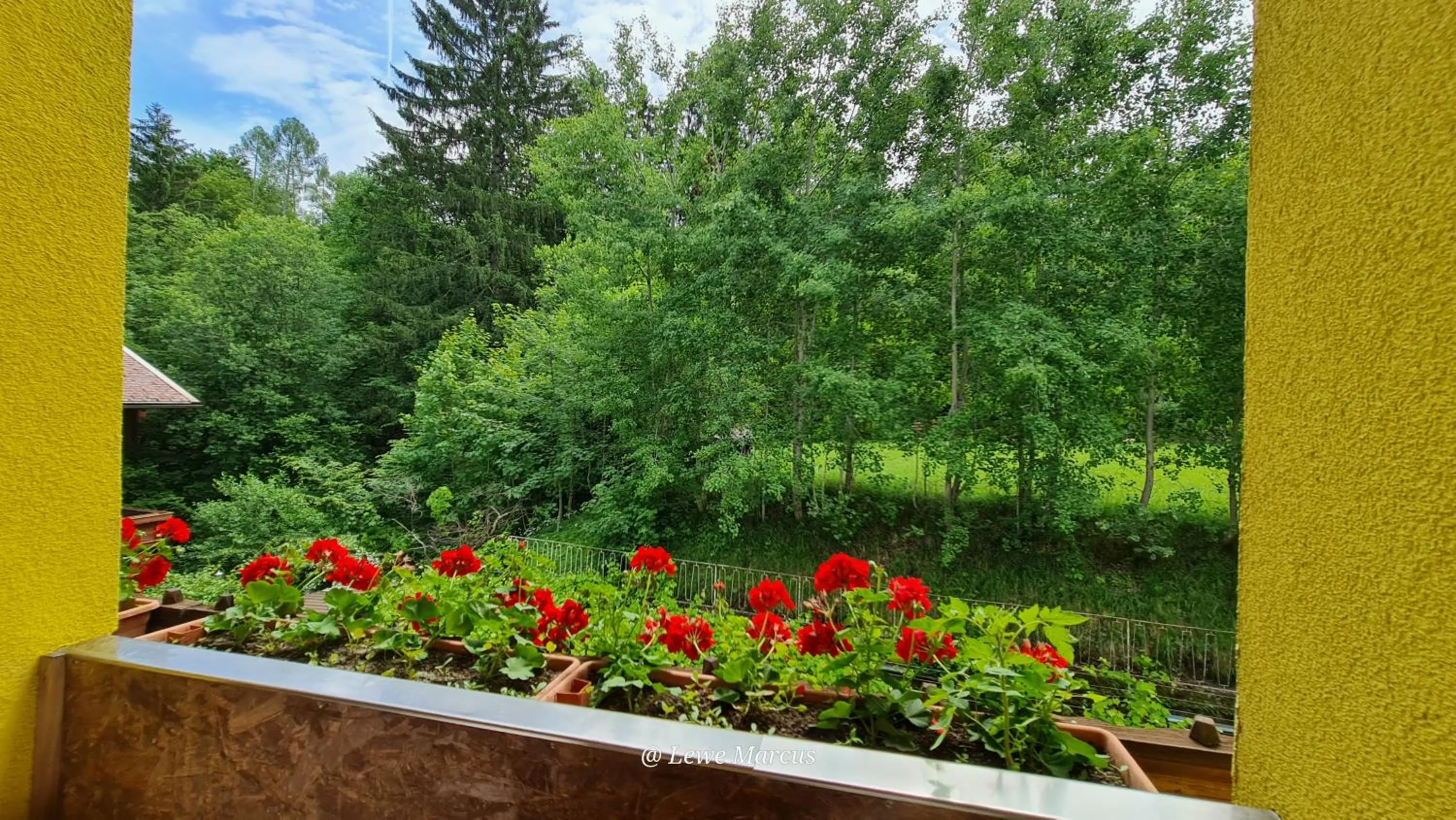View (from property/room) in Appart-Pension Seehang