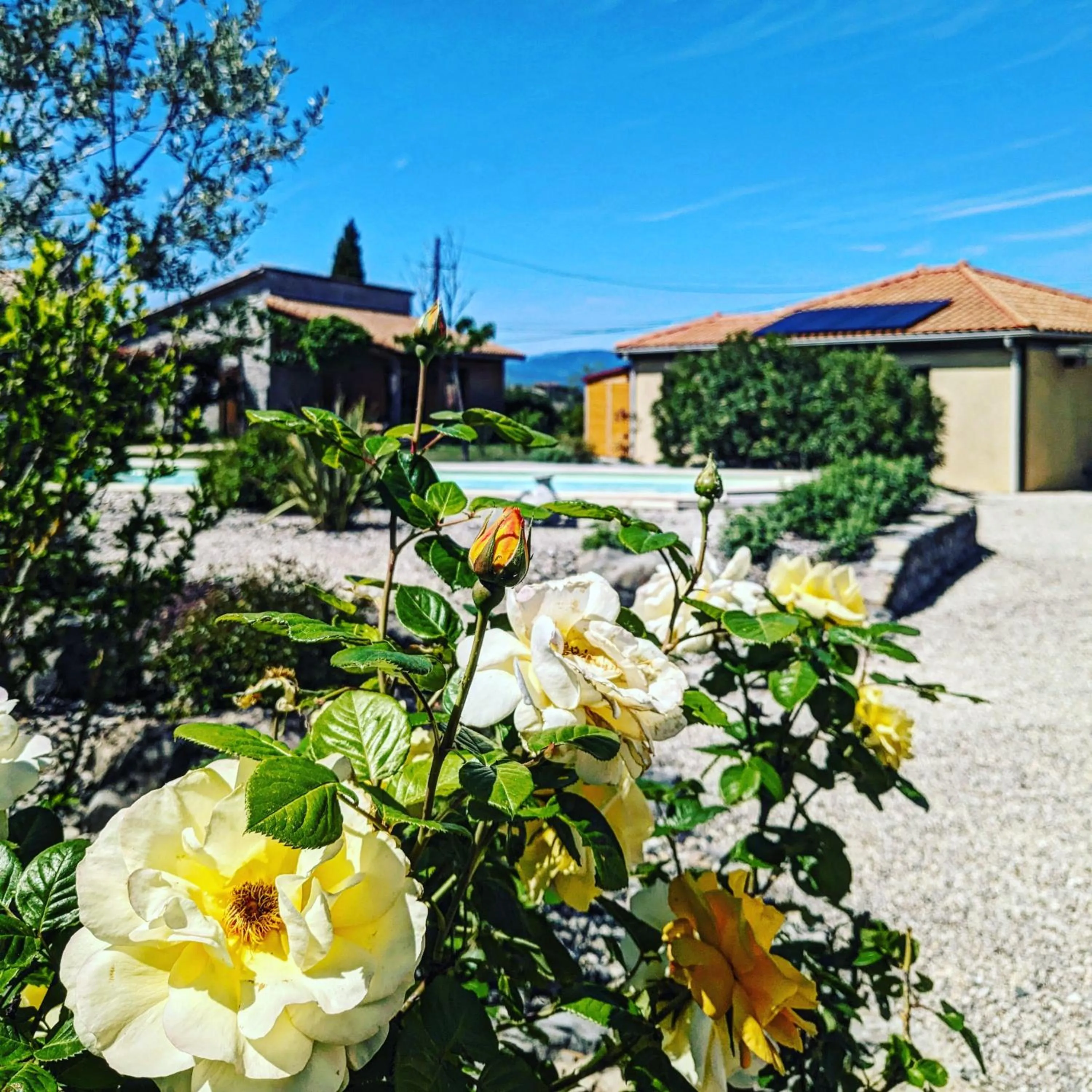 Villa Font Vive - Chambres d'hôtes éco-labellisées avec cuisine - Confort, calme et vue exceptionnels !