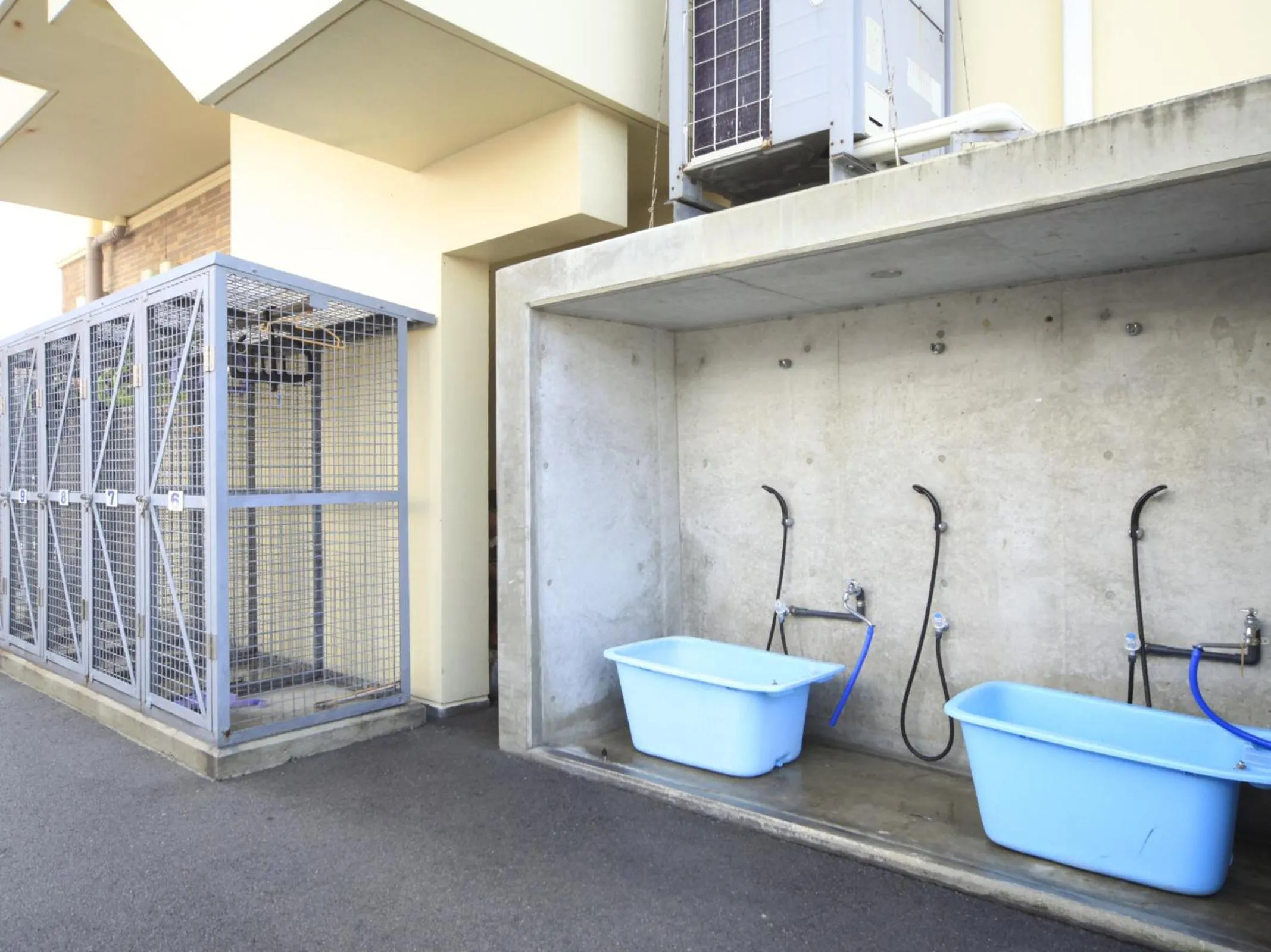 Diving in Vessel Hotel Ishigakijima