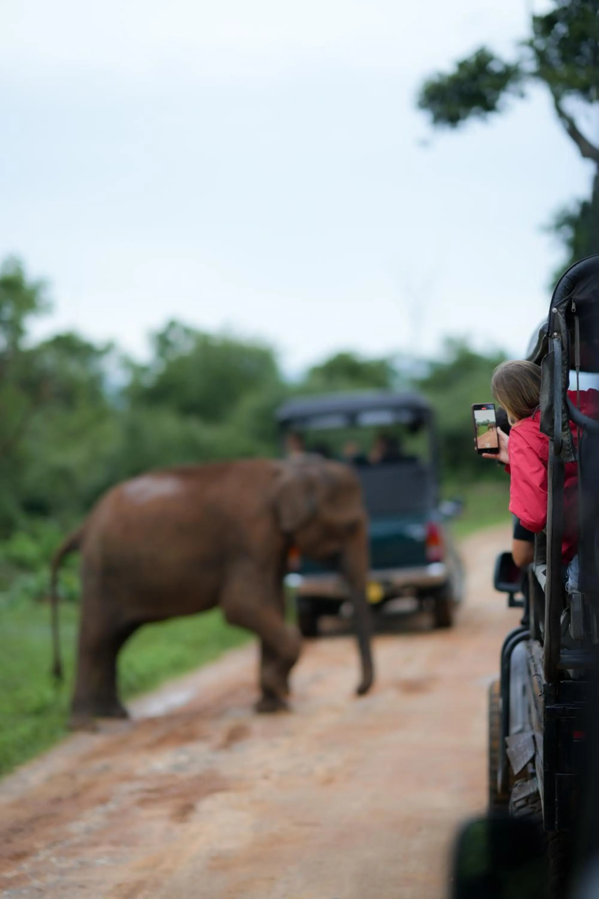 Day in Athgira River Camping - Udawalawe
