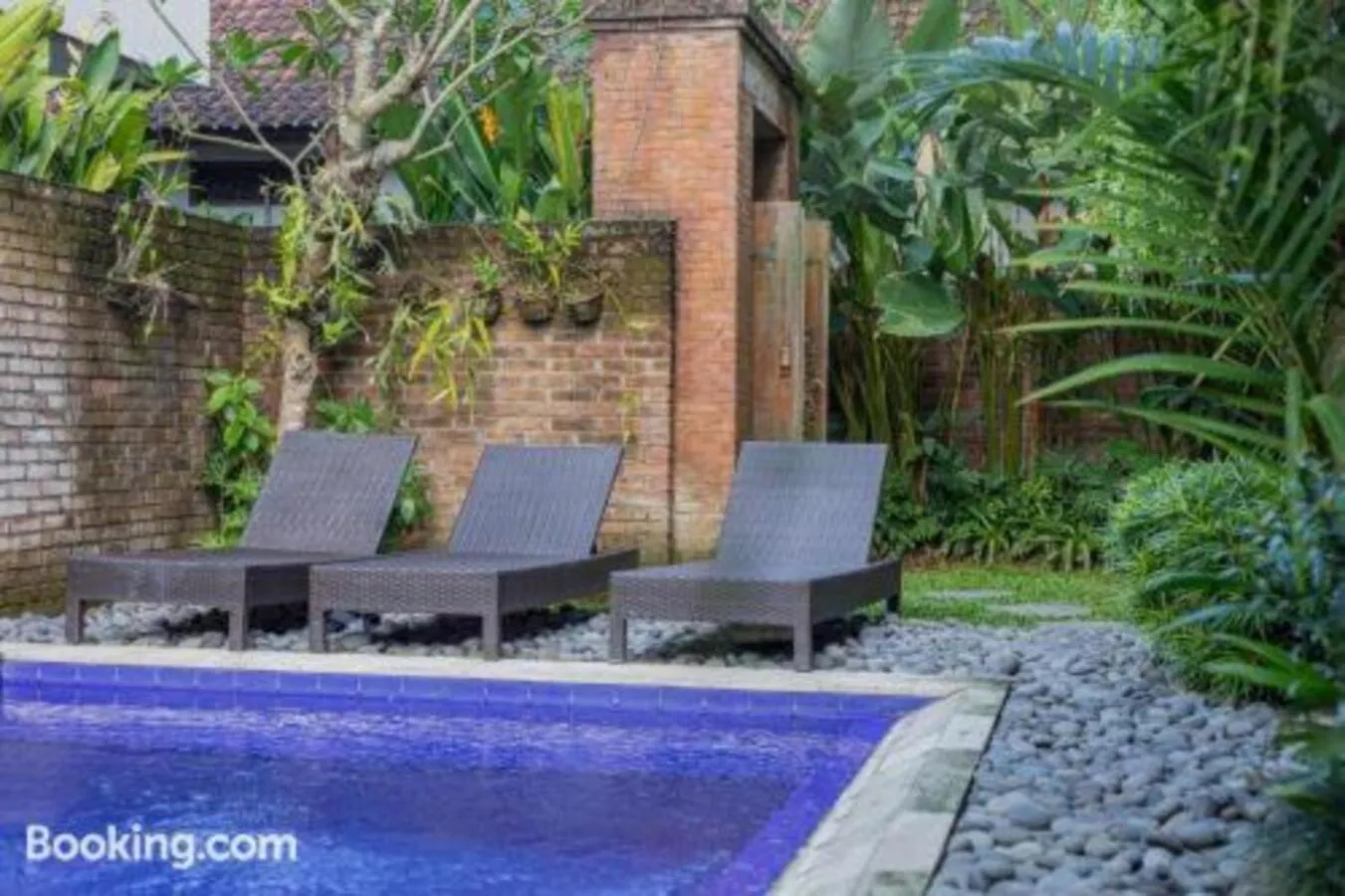 View (from property/room) in Komala Homestay