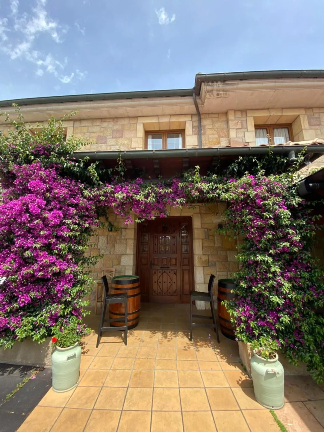 Hotel Vijanera