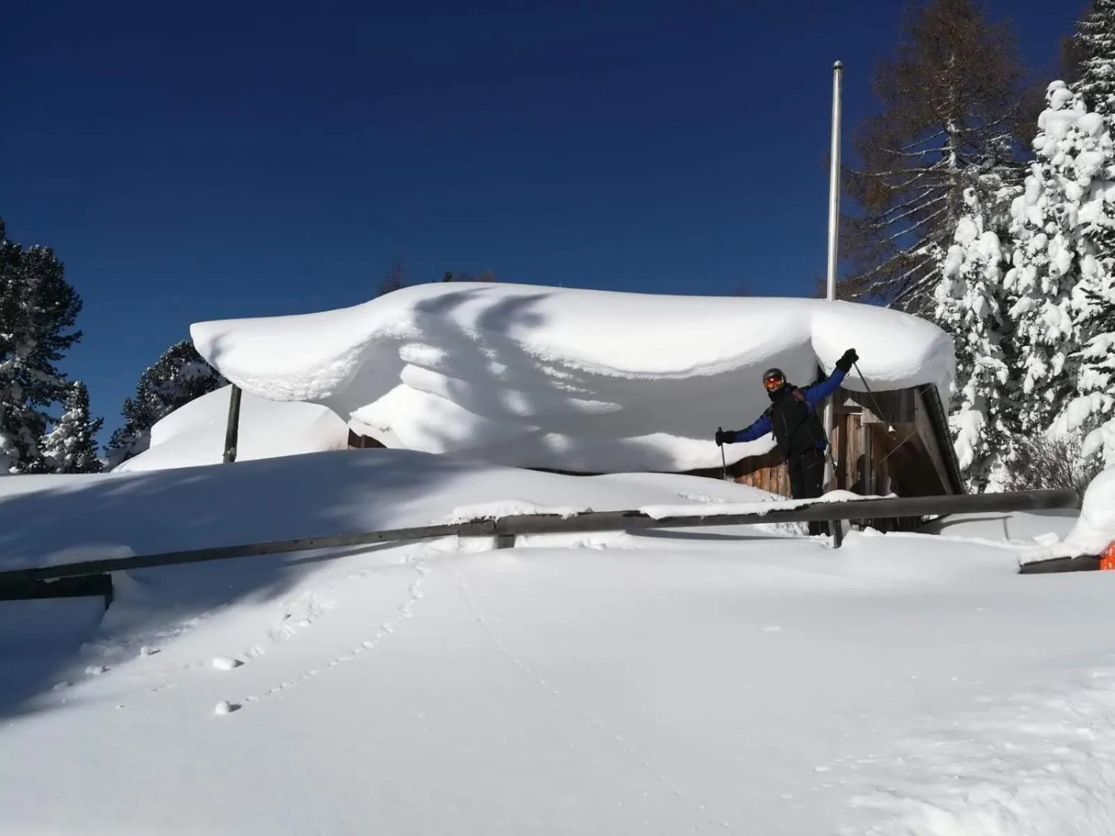 Skiing in DAVID SUITEN