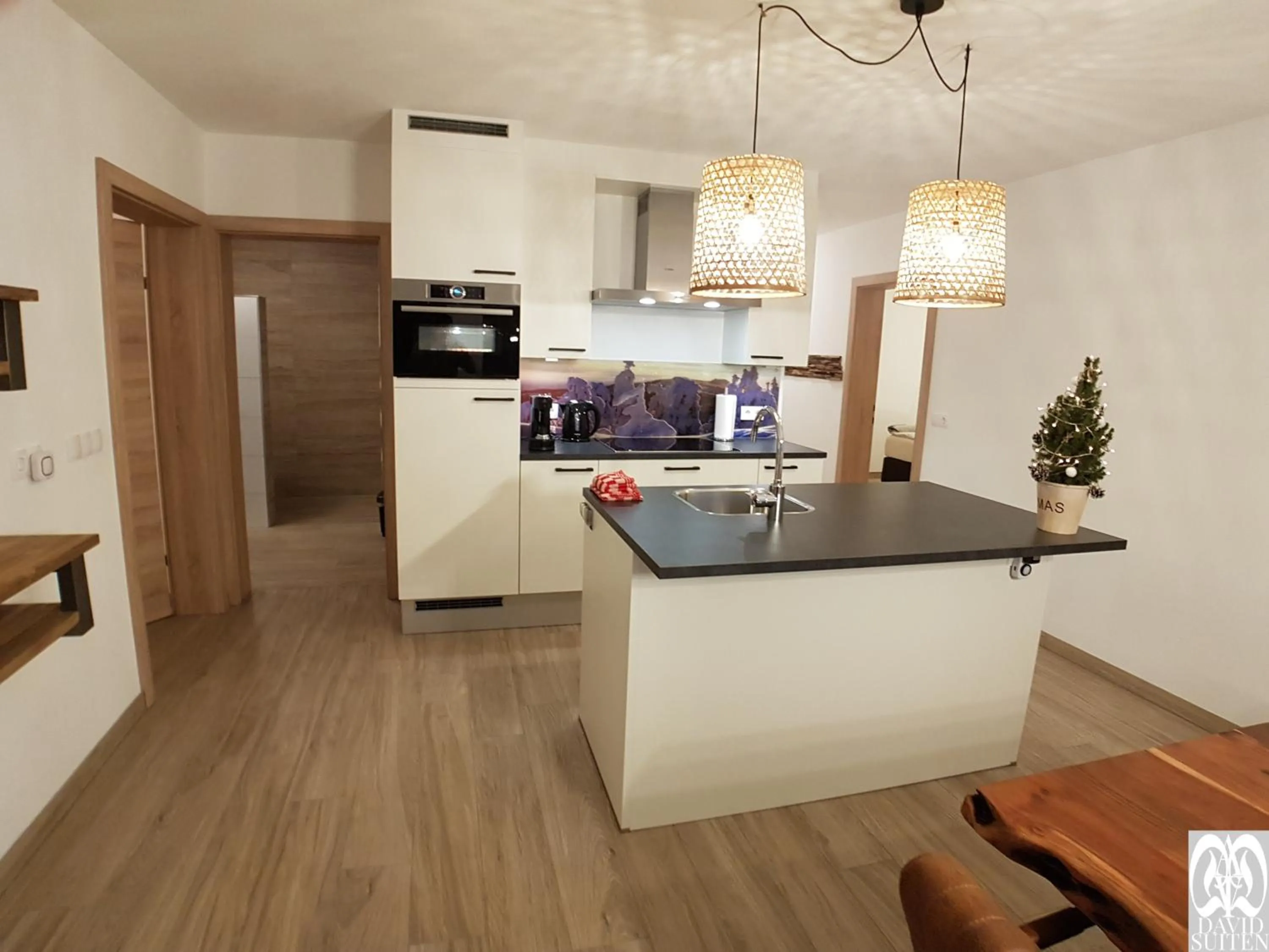 Kitchen or kitchenette in DAVID SUITEN