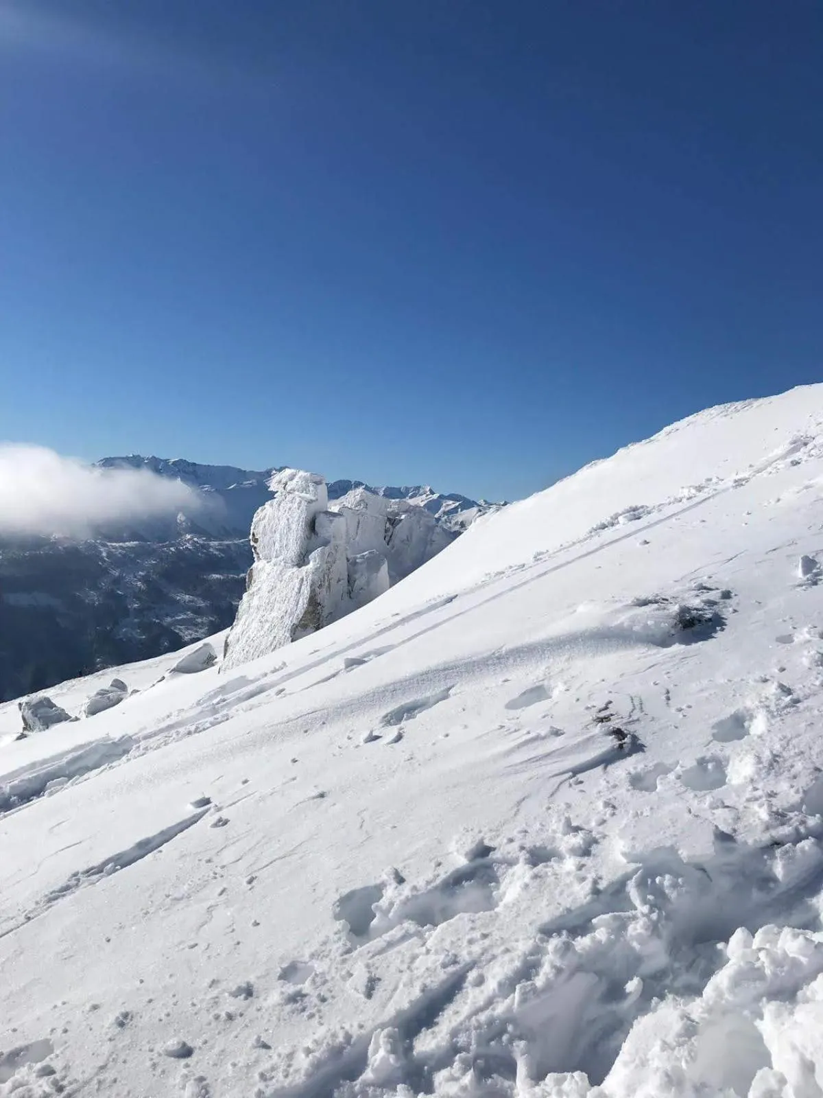 Activities in DAVID SUITEN