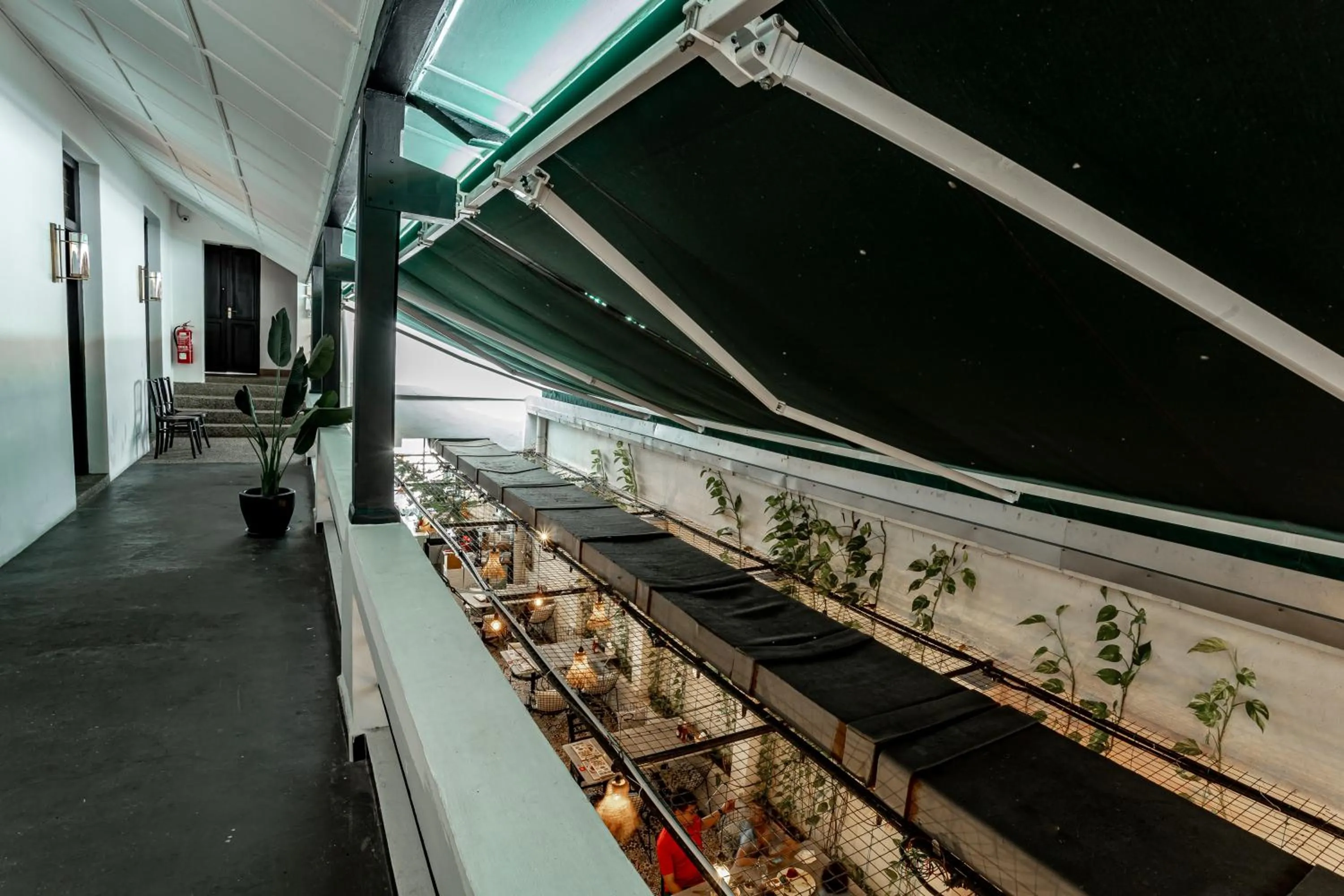 Other in Earnest Hotel Georgetown