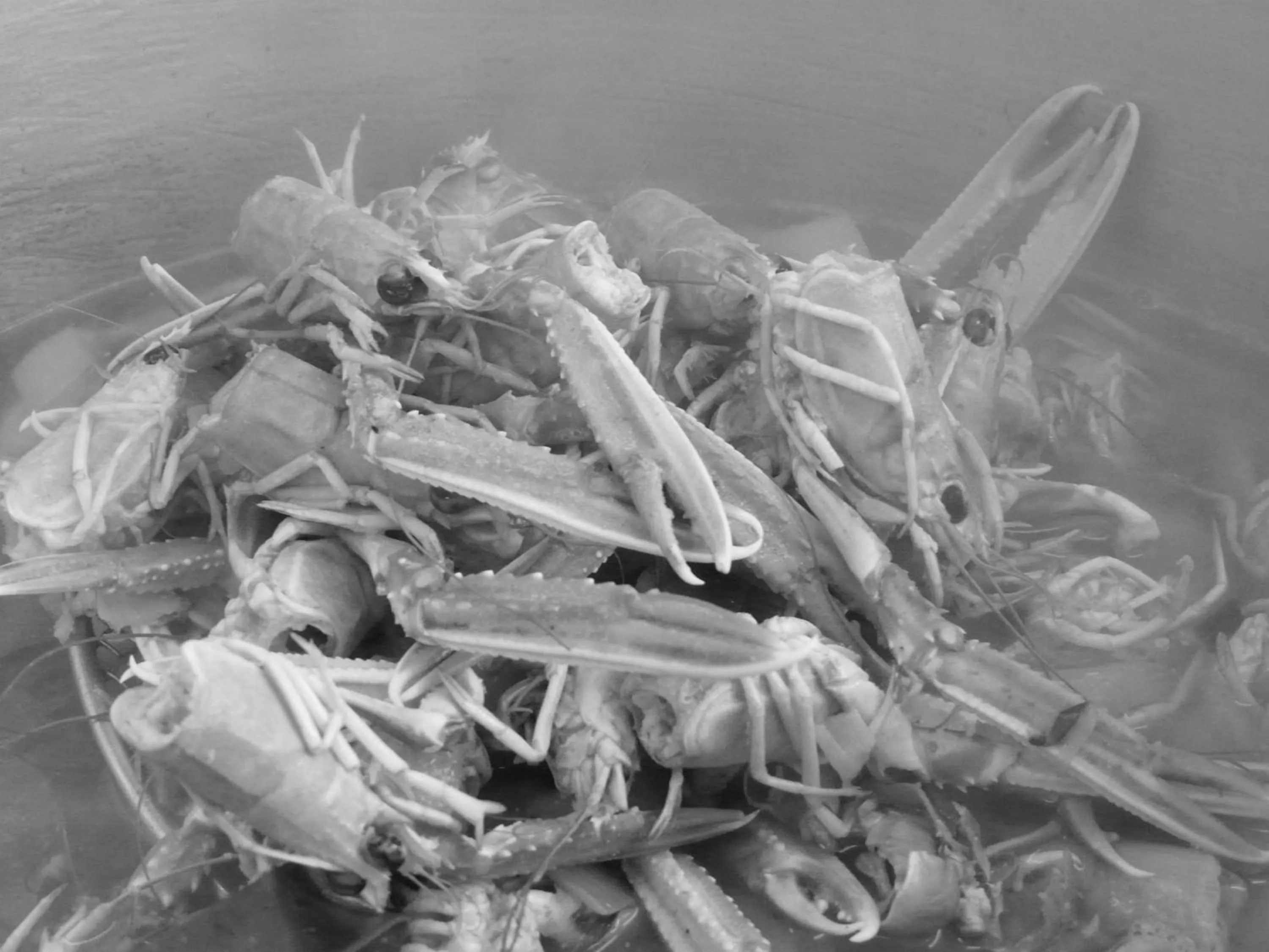 Hostellerie d'Héloïse Logis