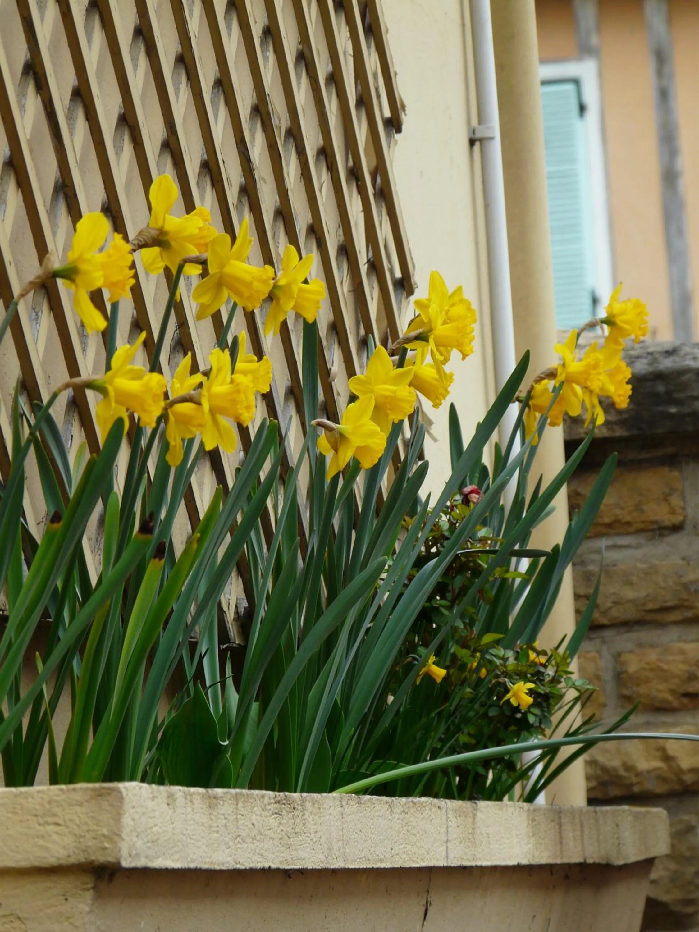 Hostellerie d'Héloïse Logis