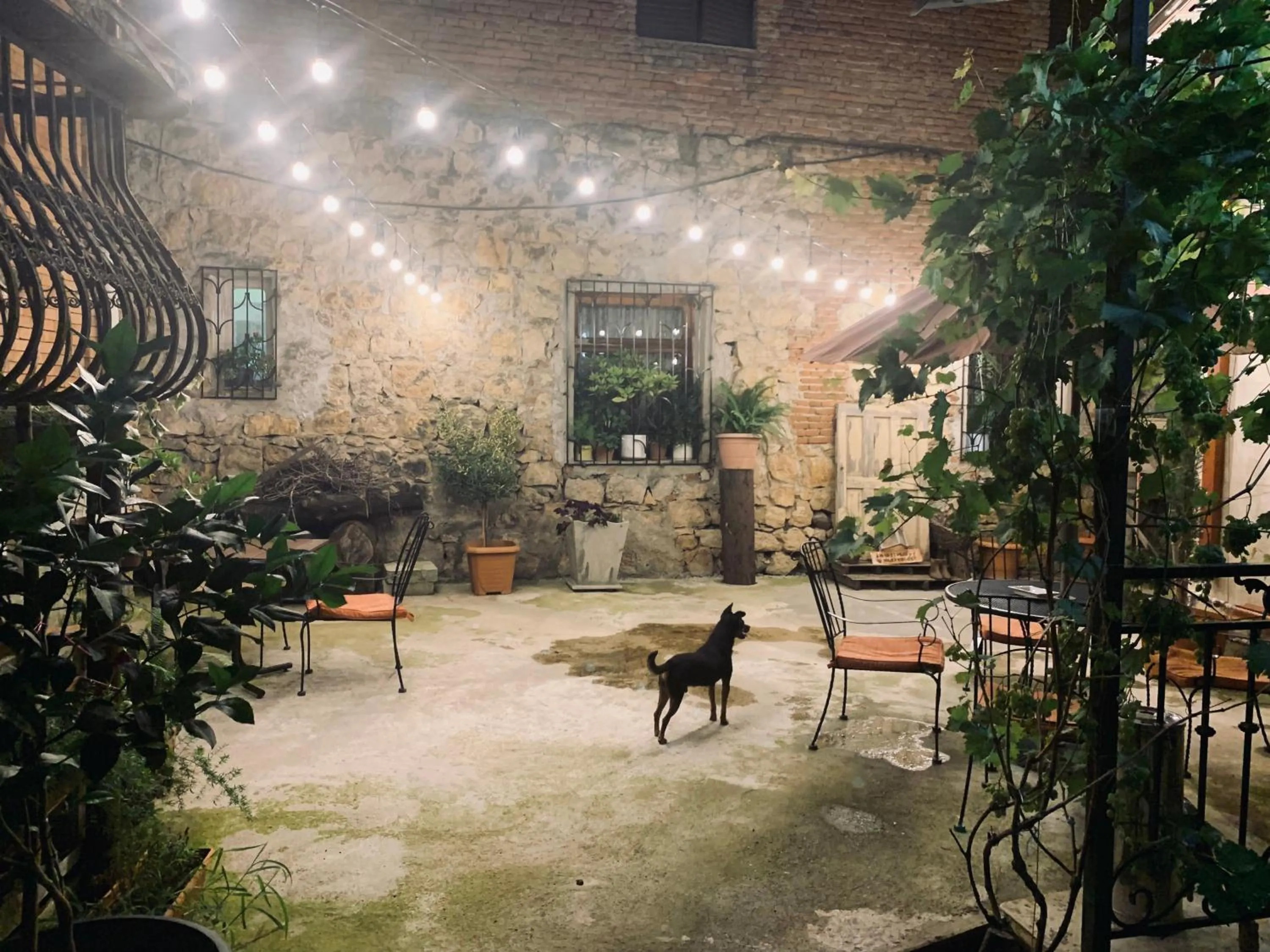 Seating area in Gala Boutique Hotel