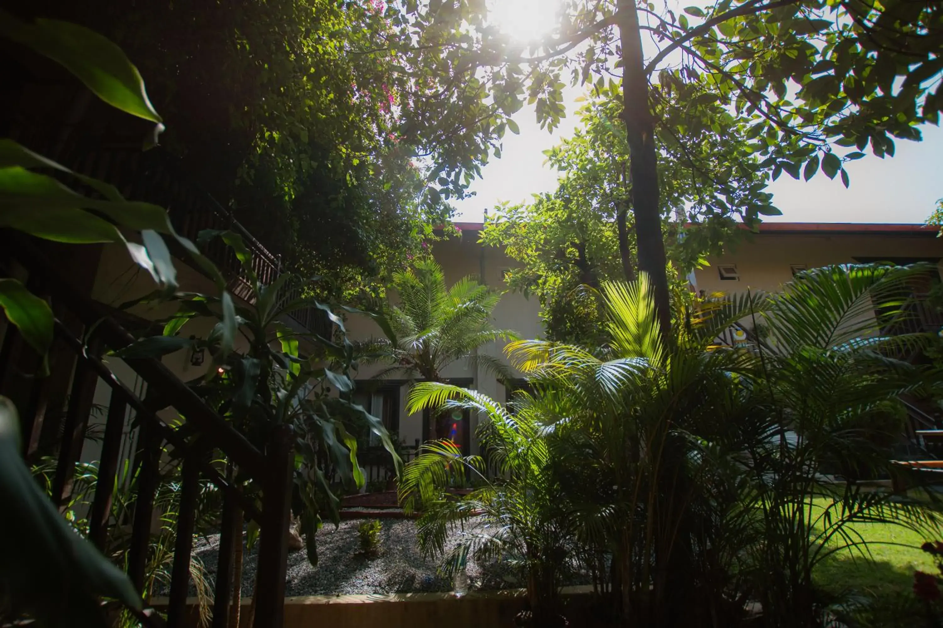 Garden view in Busy Bee Resort, Pokhara Garden view in Busy Bee Resort, Pokhara