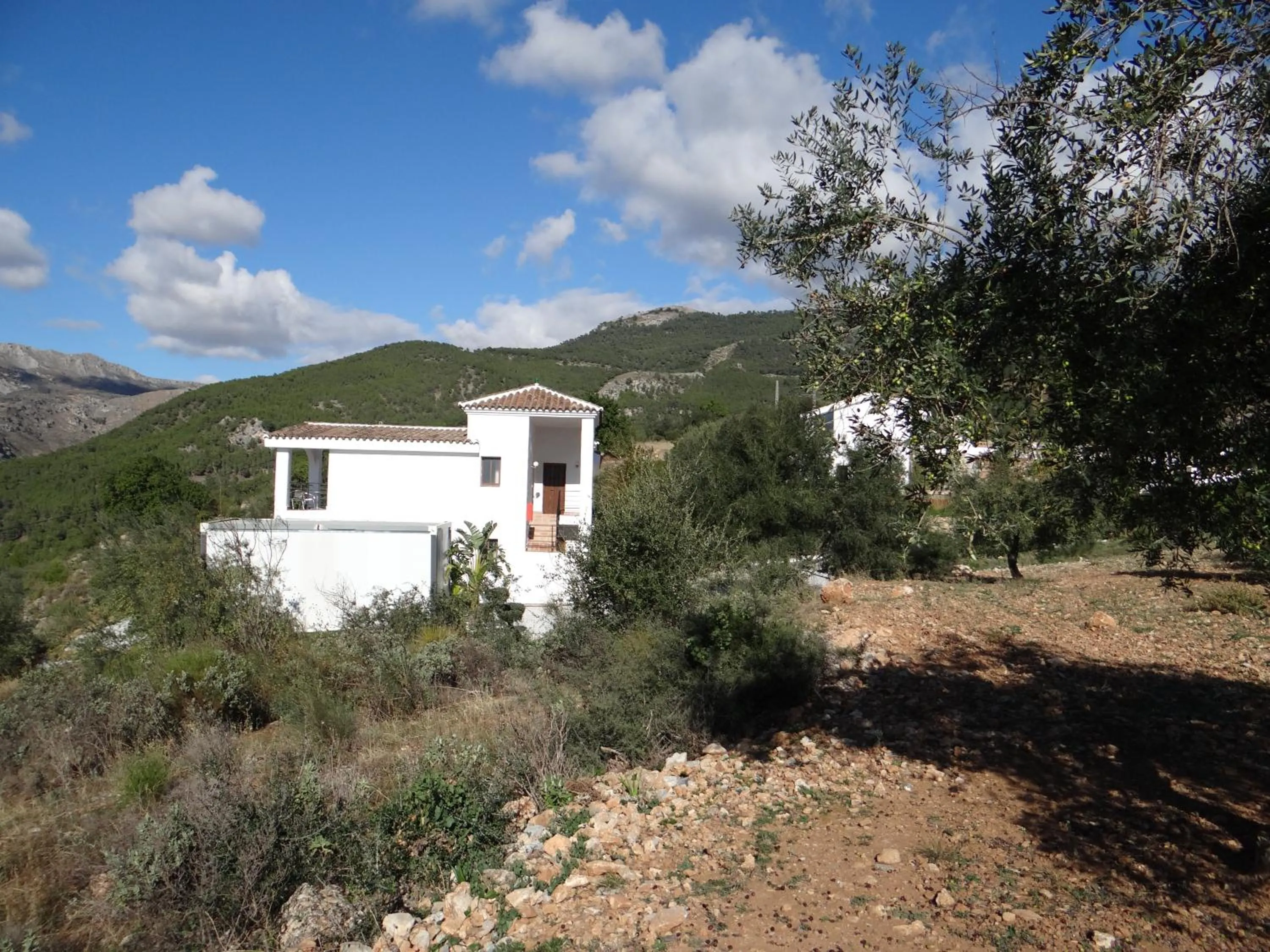 Property building in Casa Arts guest rooms