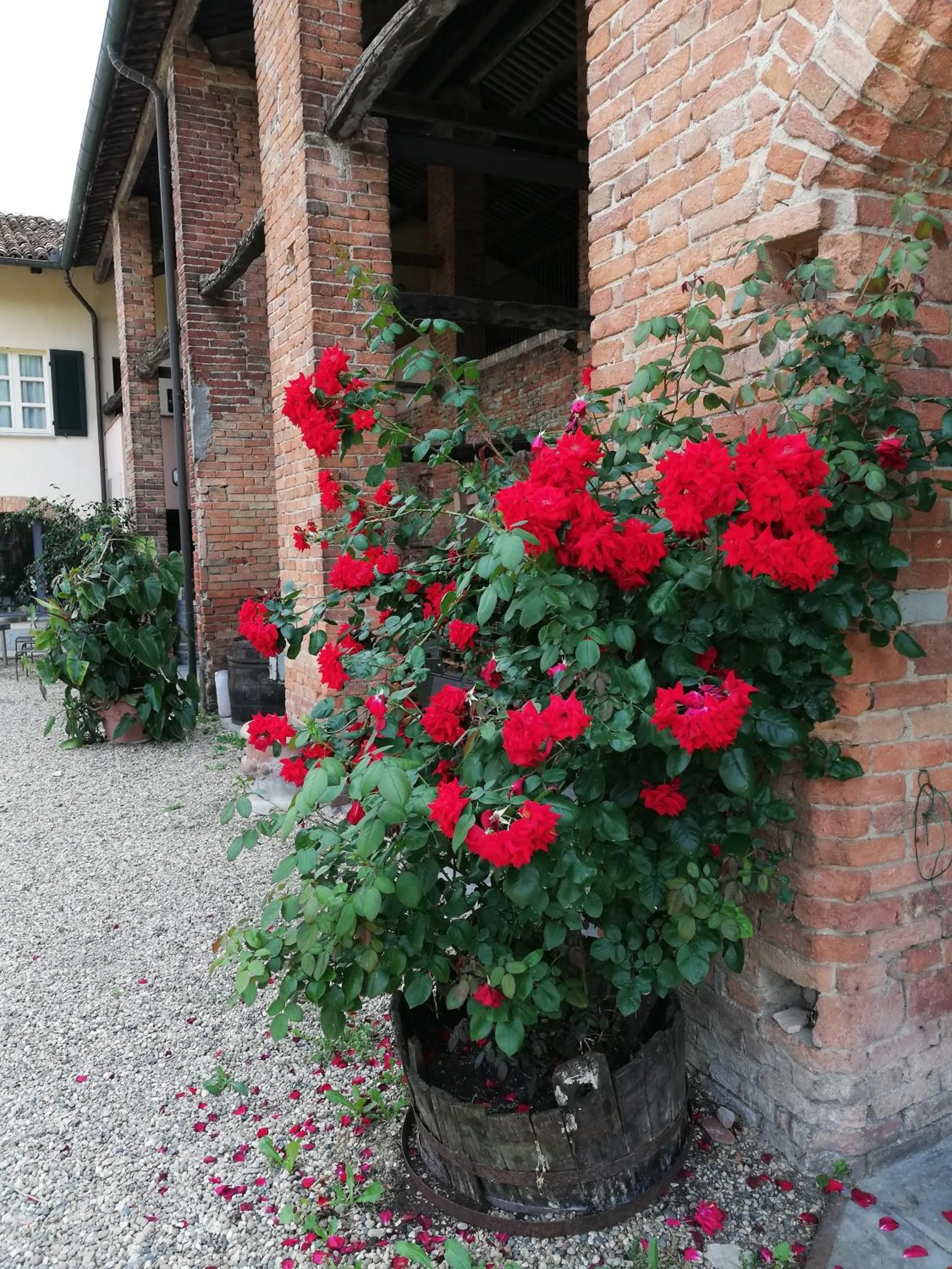 Garden in La Giribaldina Winery & Farmhouse