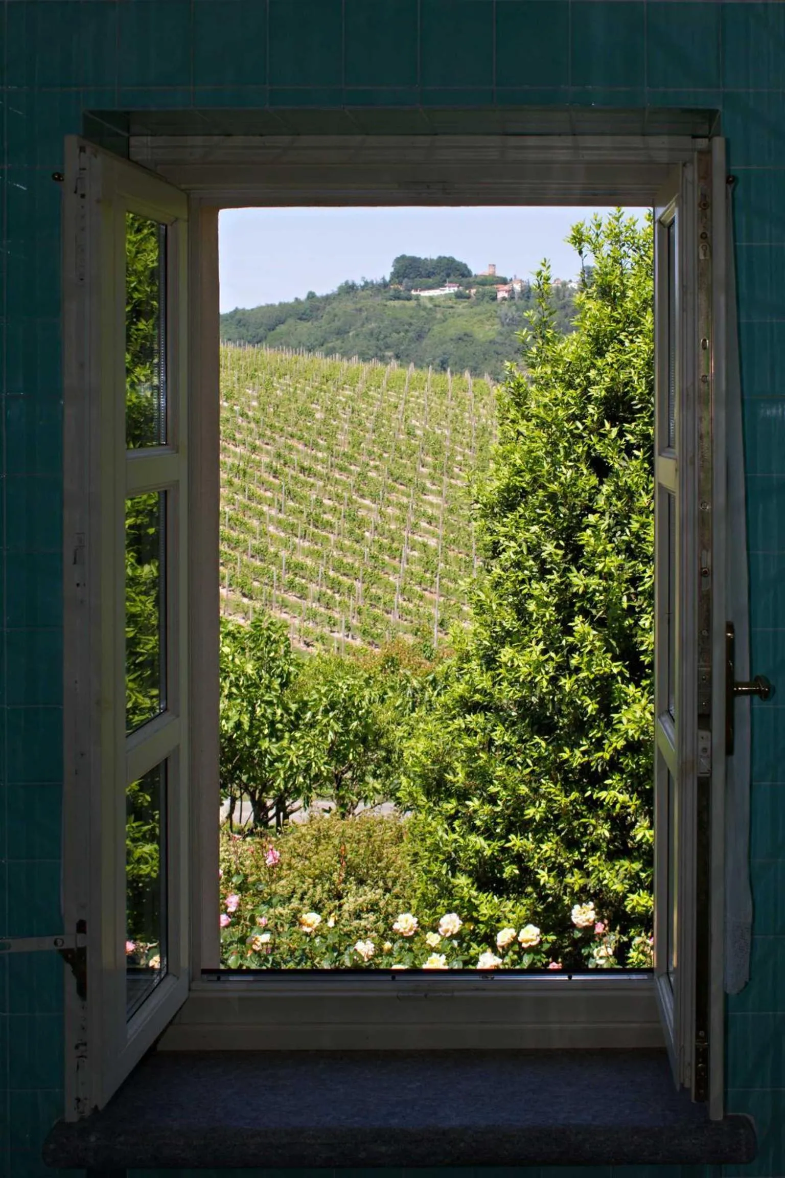 Garden view in La Giribaldina Winery & Farmhouse