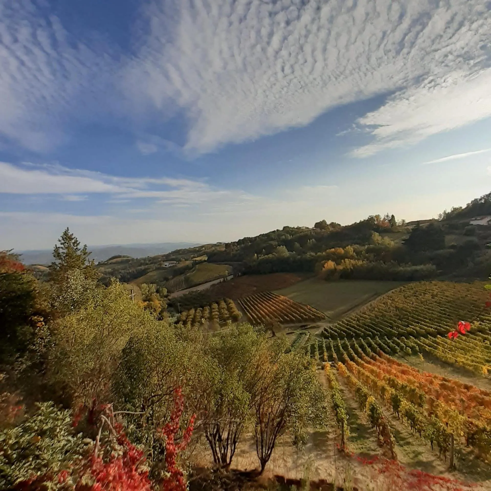 Natural landscape in La Giribaldina Winery & Farmhouse