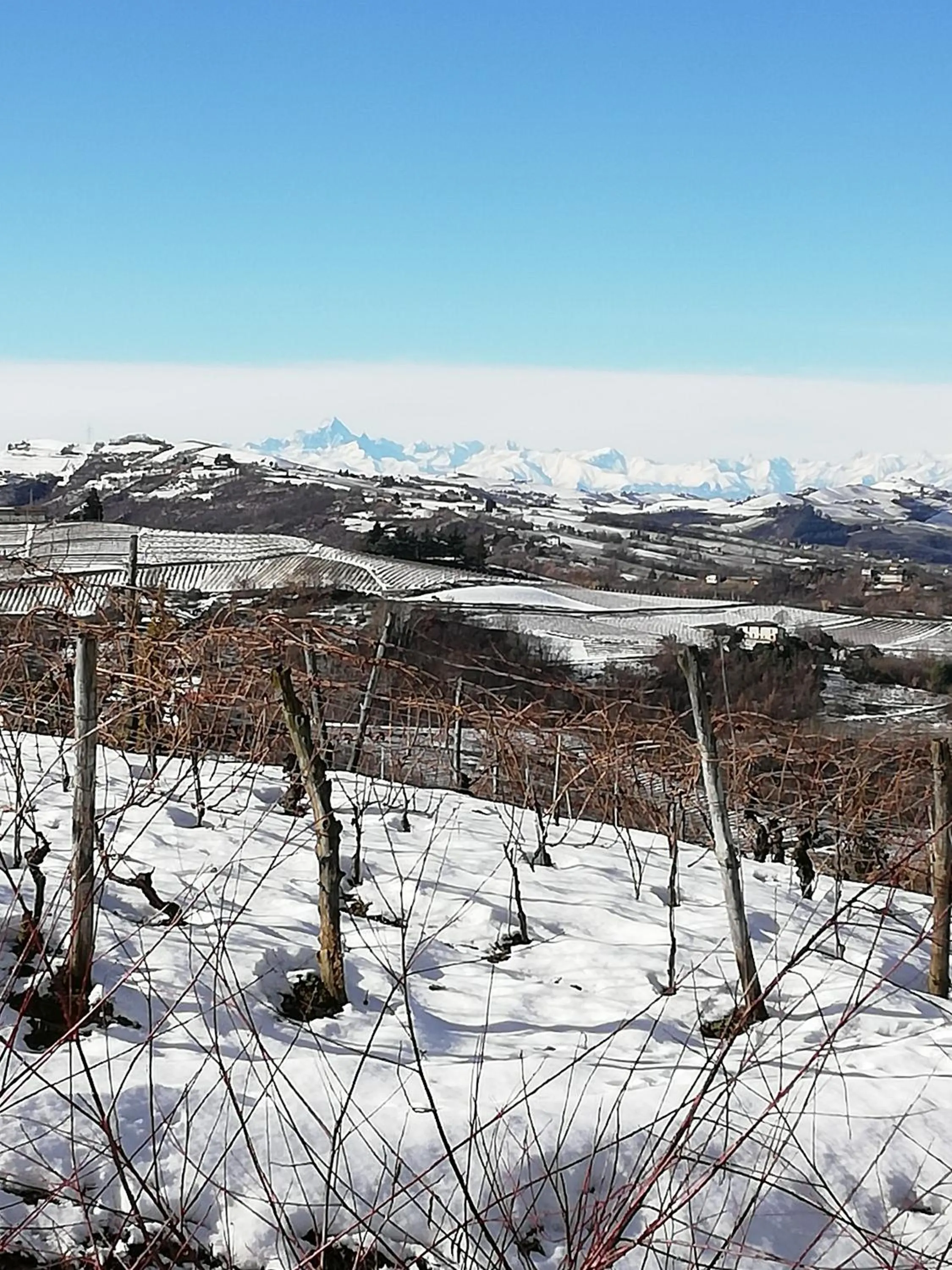 Natural landscape in La Giribaldina Winery & Farmhouse