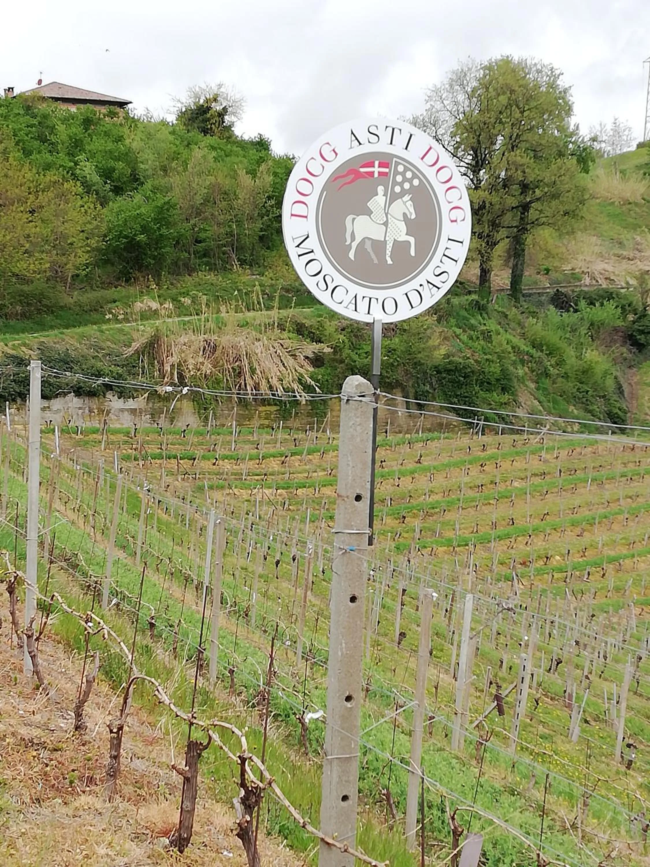 Natural landscape in La Giribaldina Winery & Farmhouse