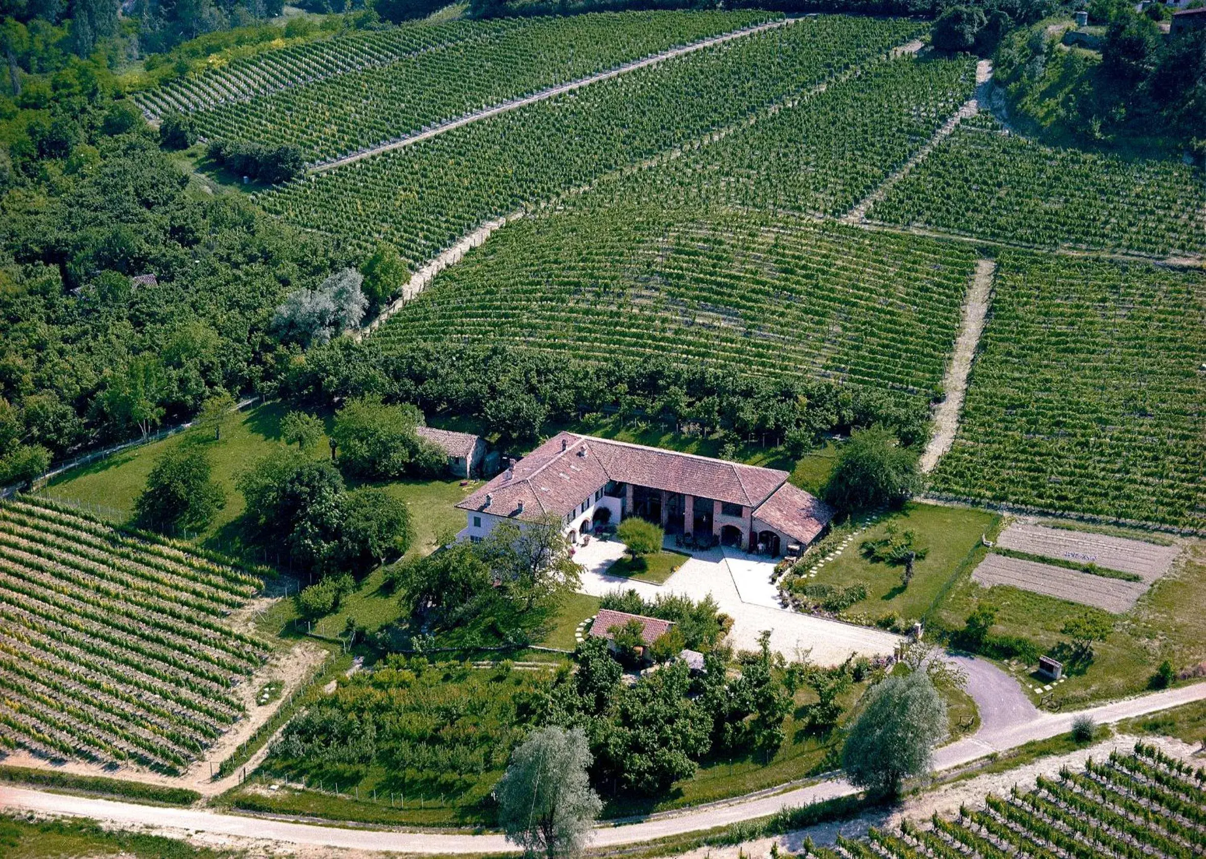 La Giribaldina Winery & Farmhouse La Giribaldina Winery & Farmhouse