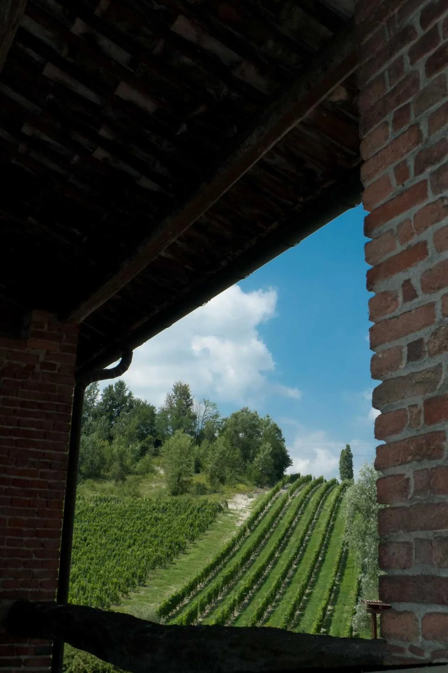 Landmark view in La Giribaldina Winery & Farmhouse
