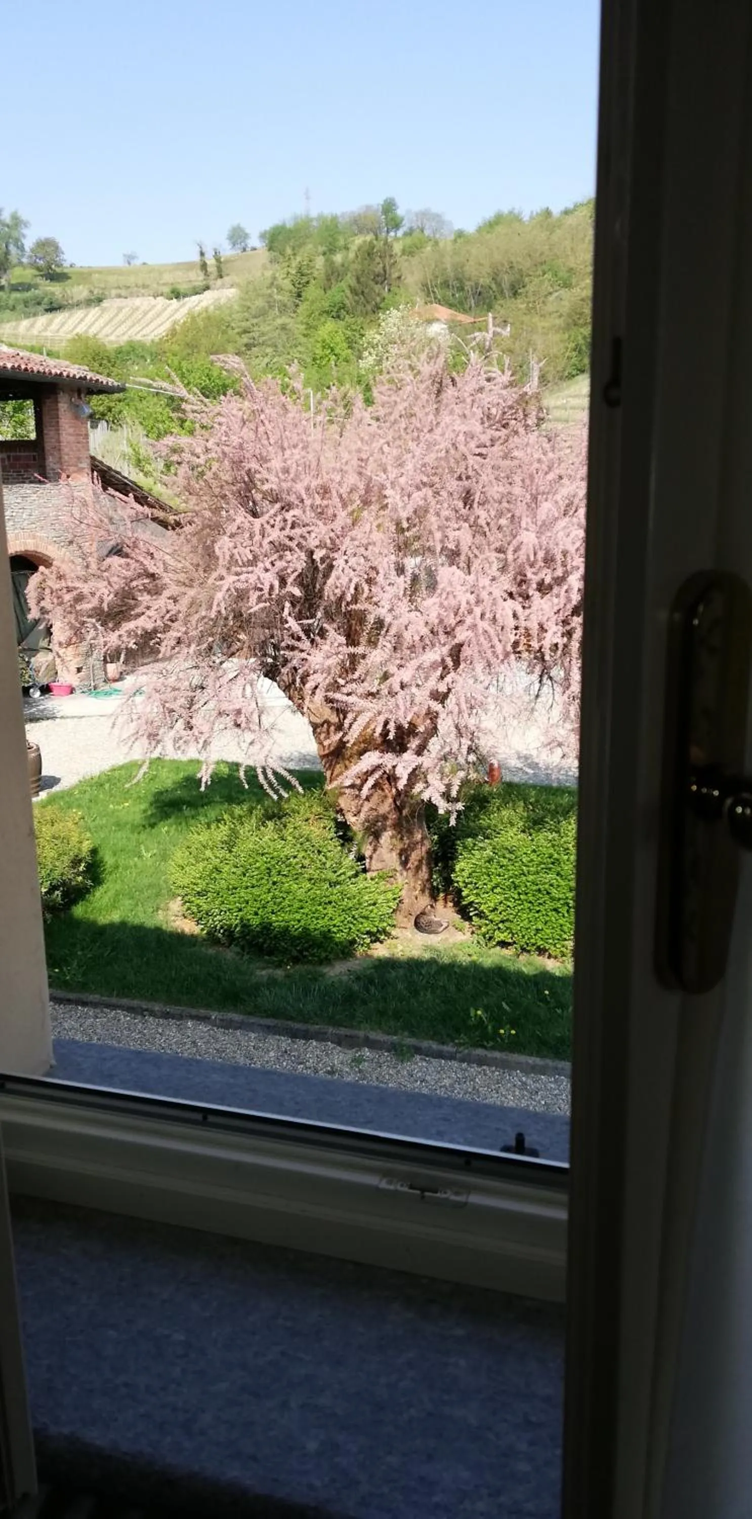 View (from property/room) in La Giribaldina Winery & Farmhouse