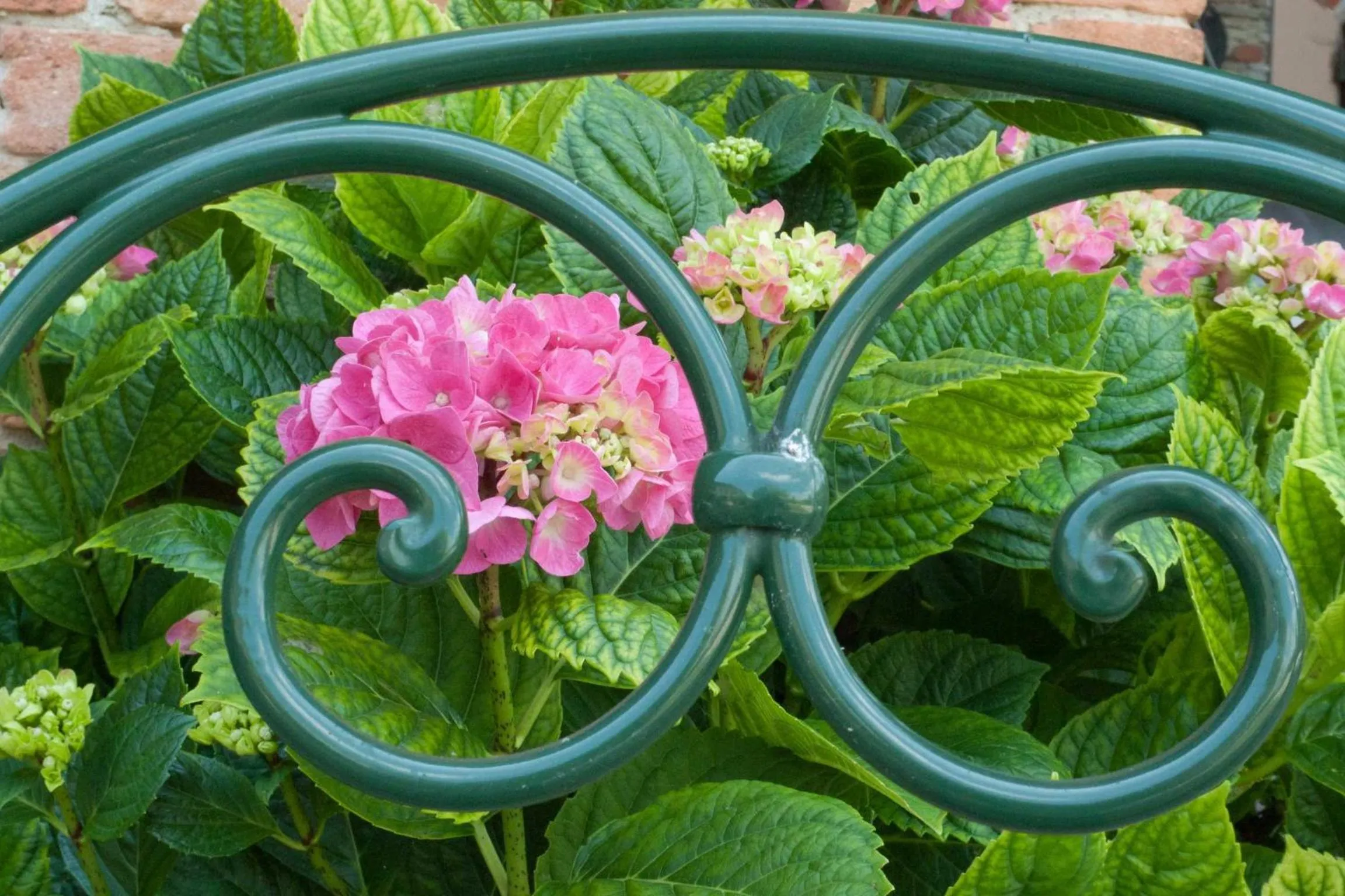Decorative detail in La Giribaldina Winery & Farmhouse