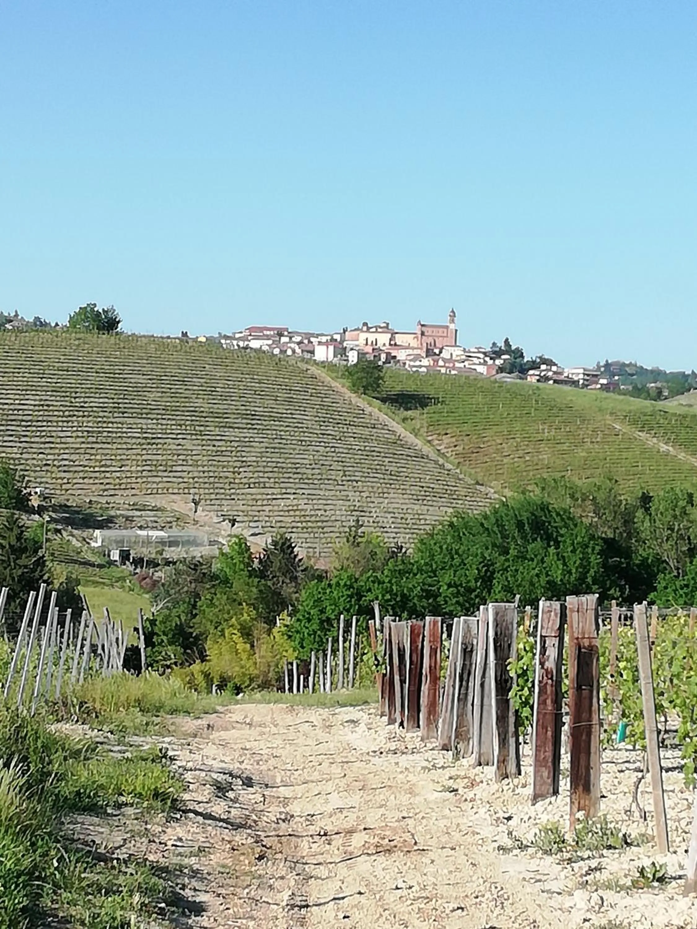 Landmark view in La Giribaldina Winery & Farmhouse