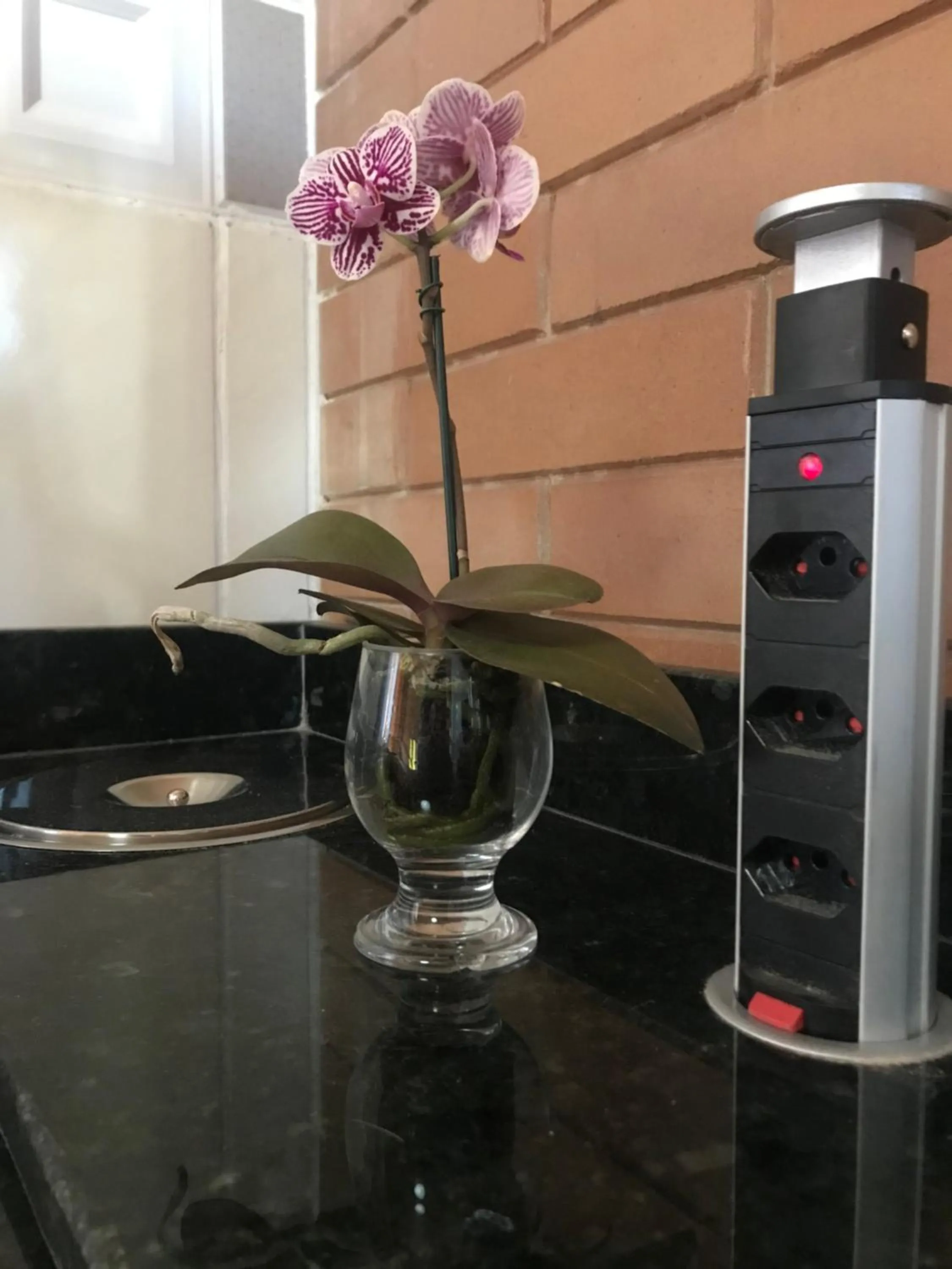 Decorative detail in EccO Capricornio