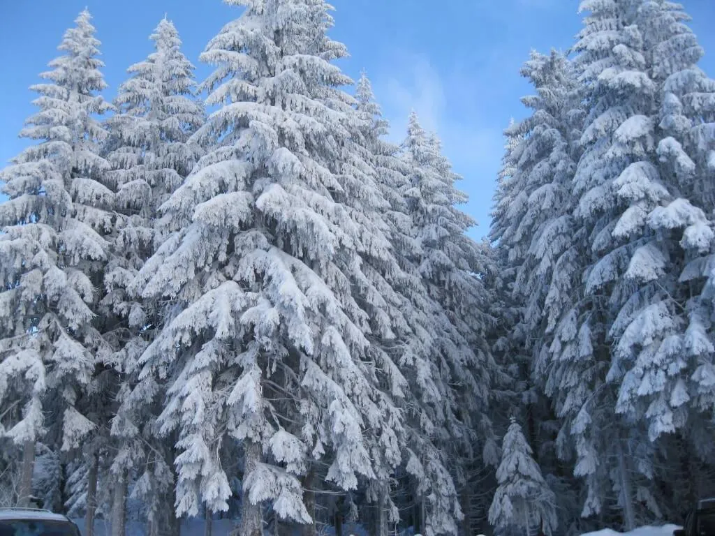 Winter in Hotel Bräukeller