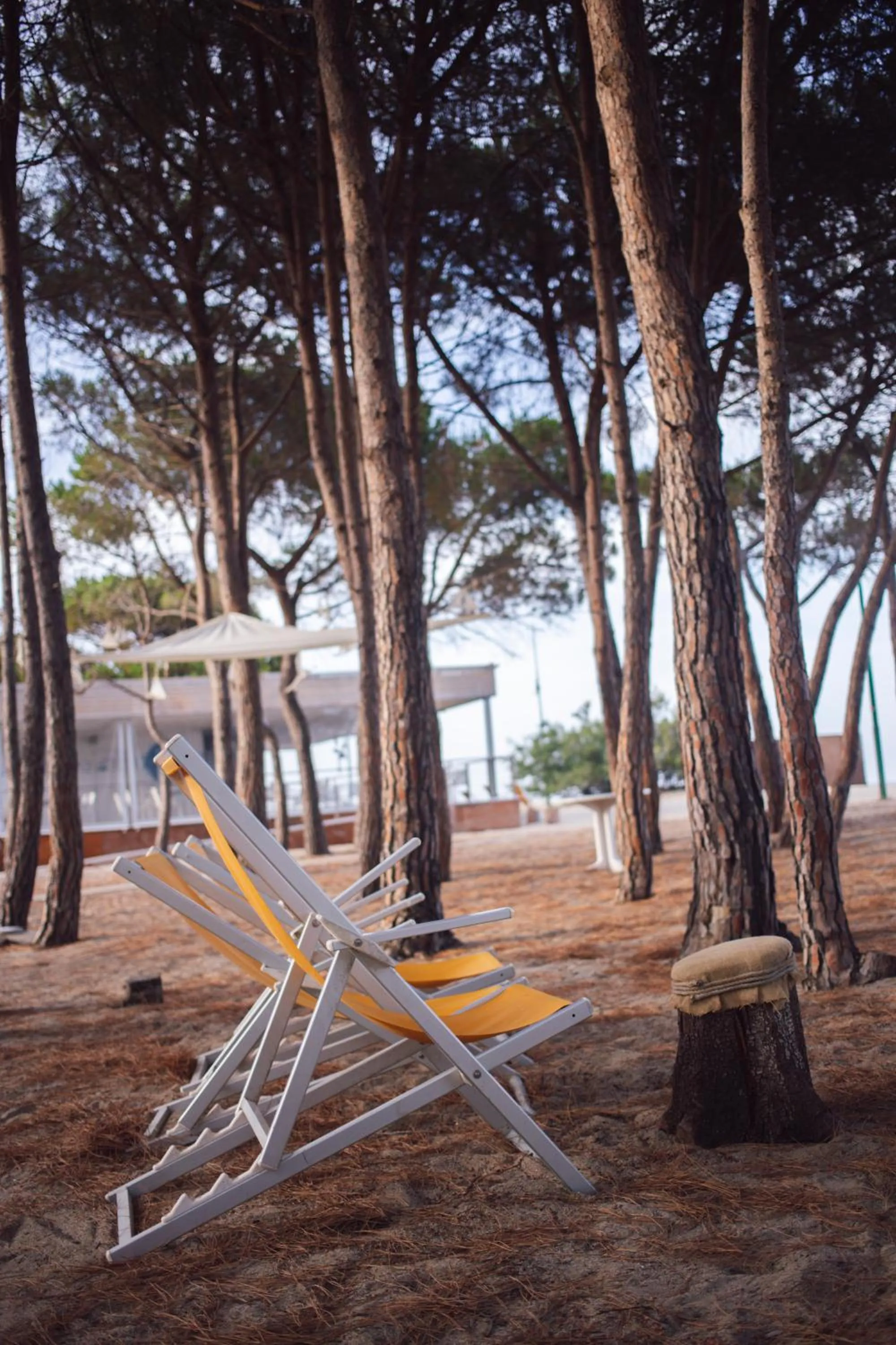 Beach in Perdepera Resort