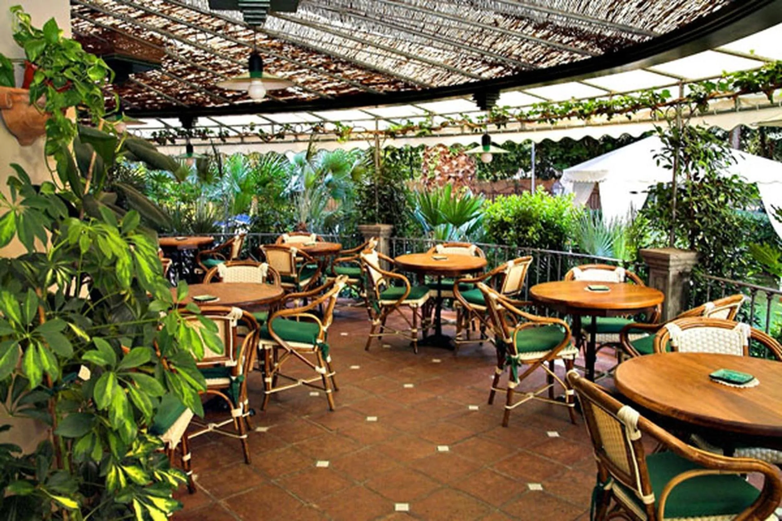 Garden in Hotel Kyrton