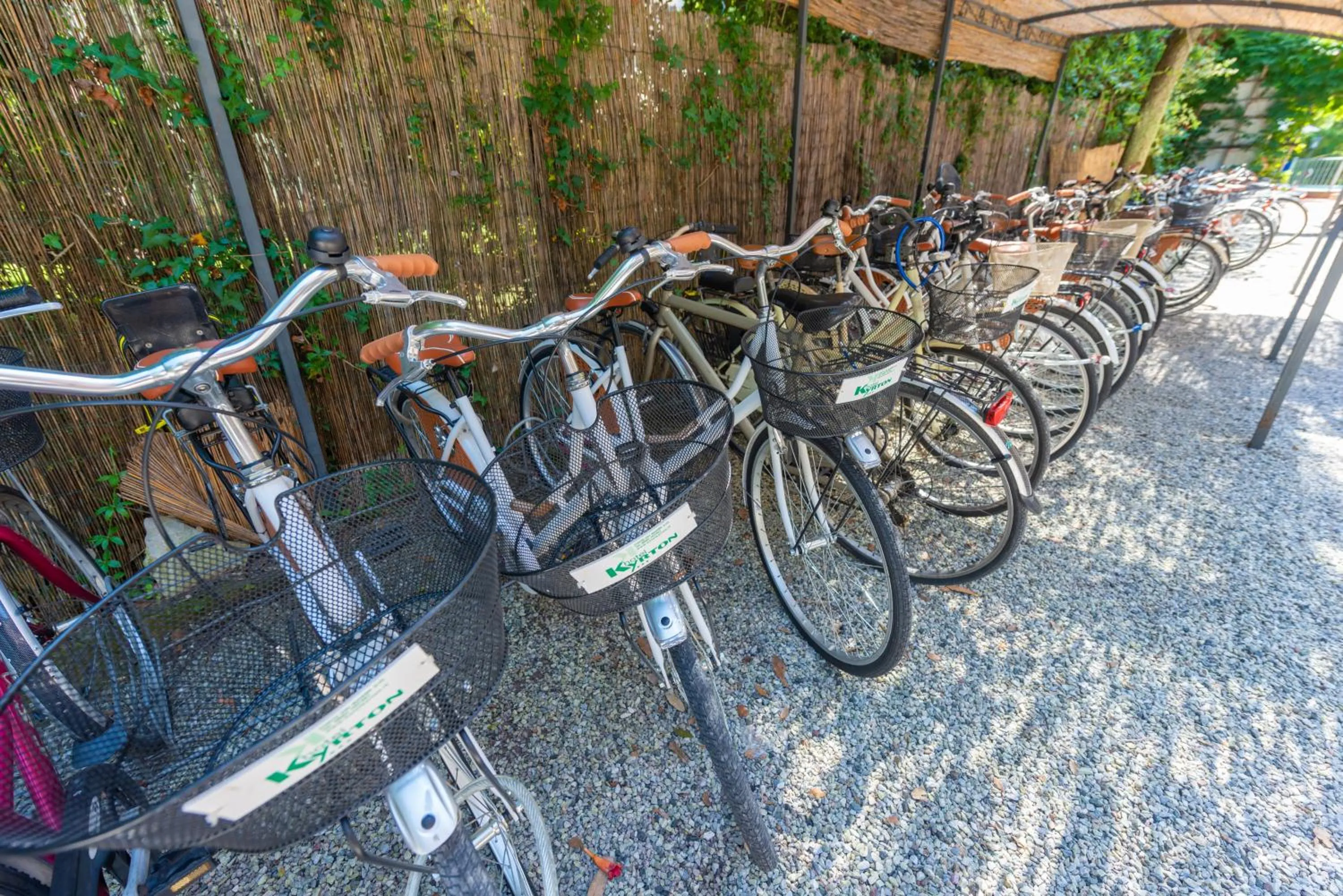 Activities in Hotel Kyrton