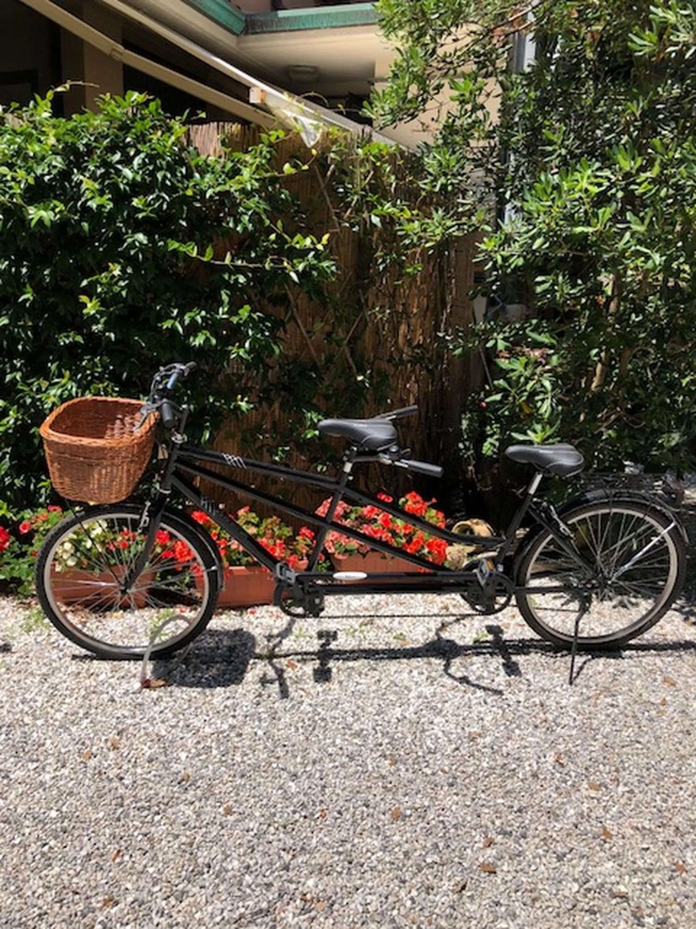 Cycling in Hotel Kyrton