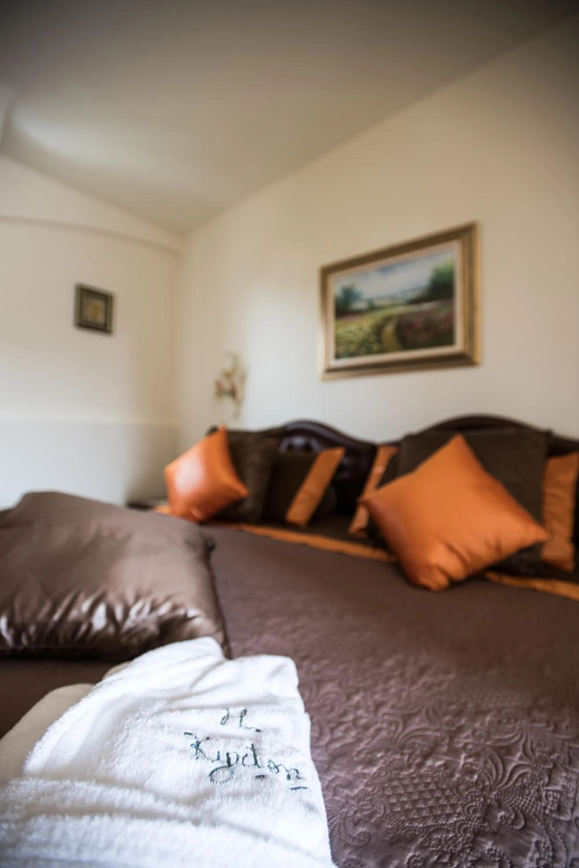 Photo of the whole room in Hotel Kyrton