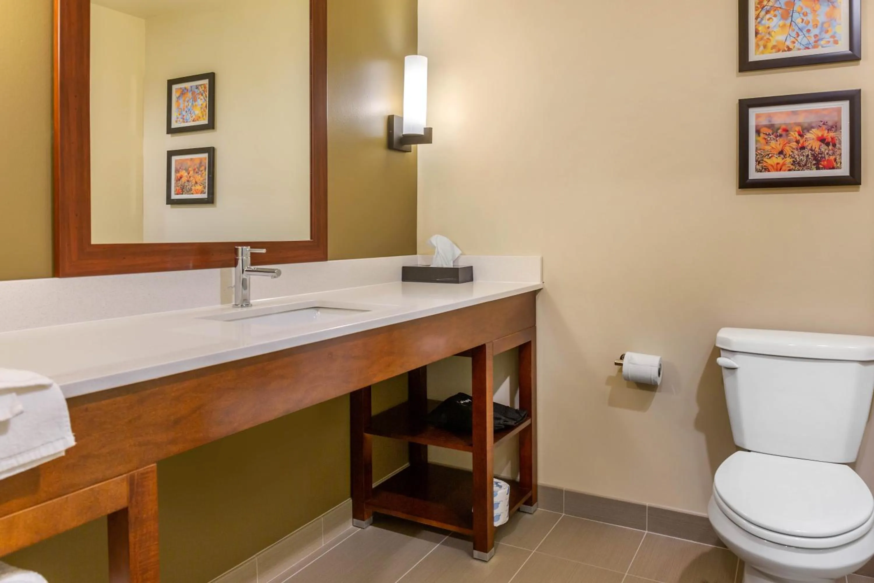 Comfort Inn & Suites Gap Amish Country