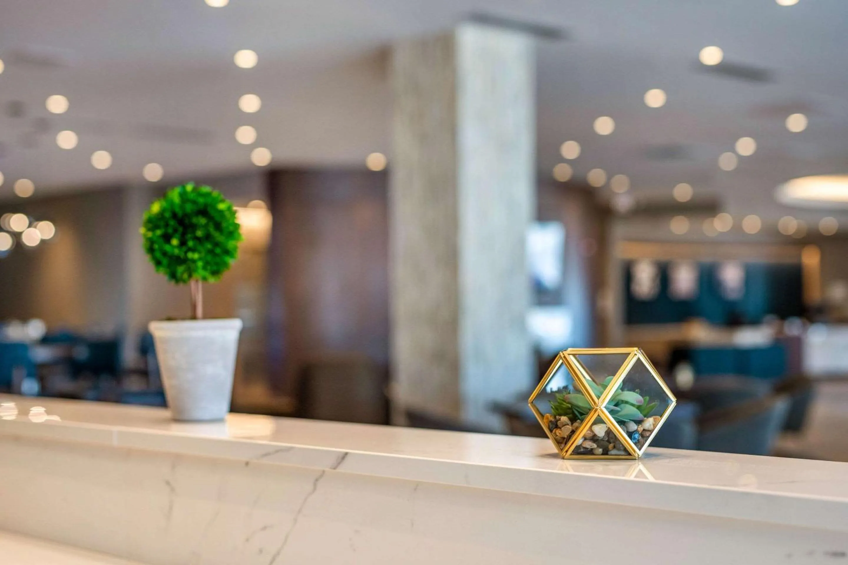 Breakfast in Cambria Hotel Bloomington Mall of America Minneapolis Airport