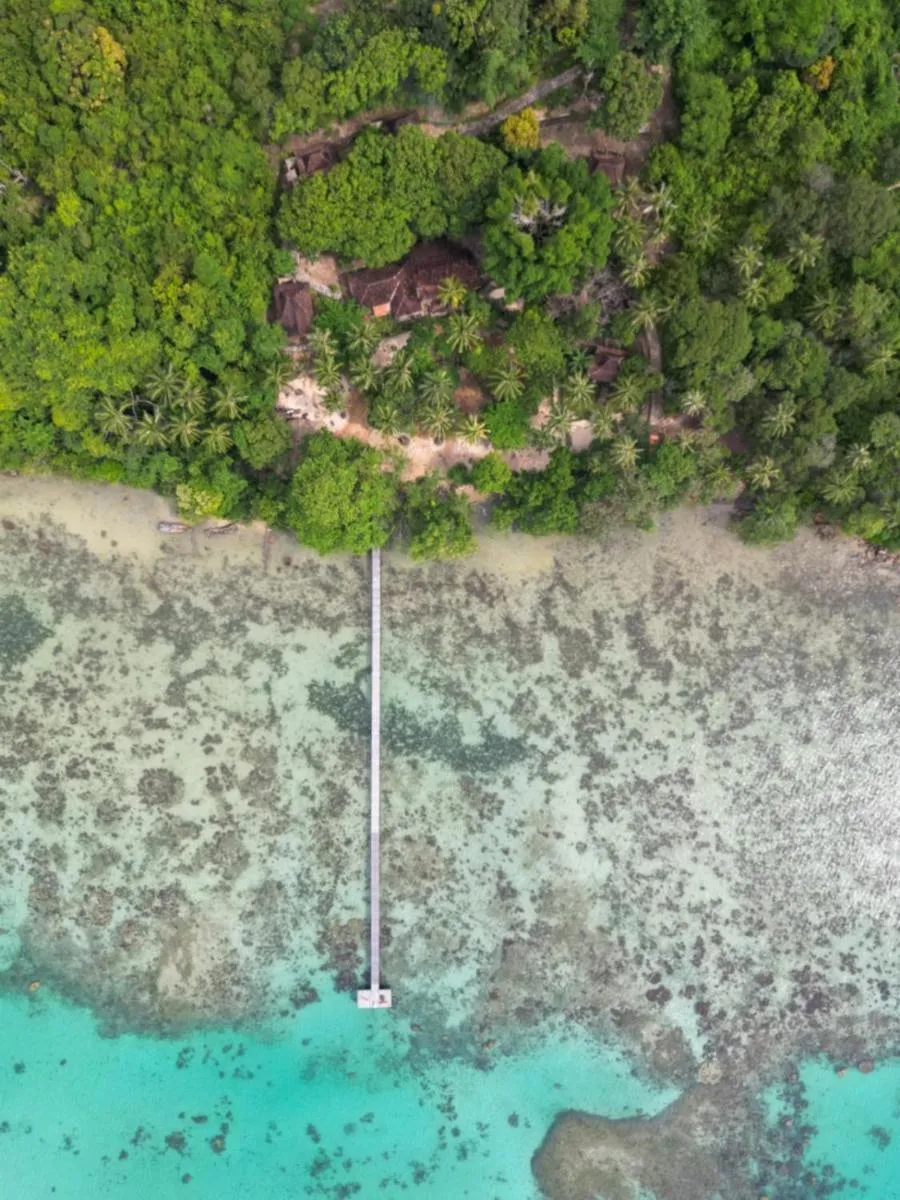 Property building in Alam Kita