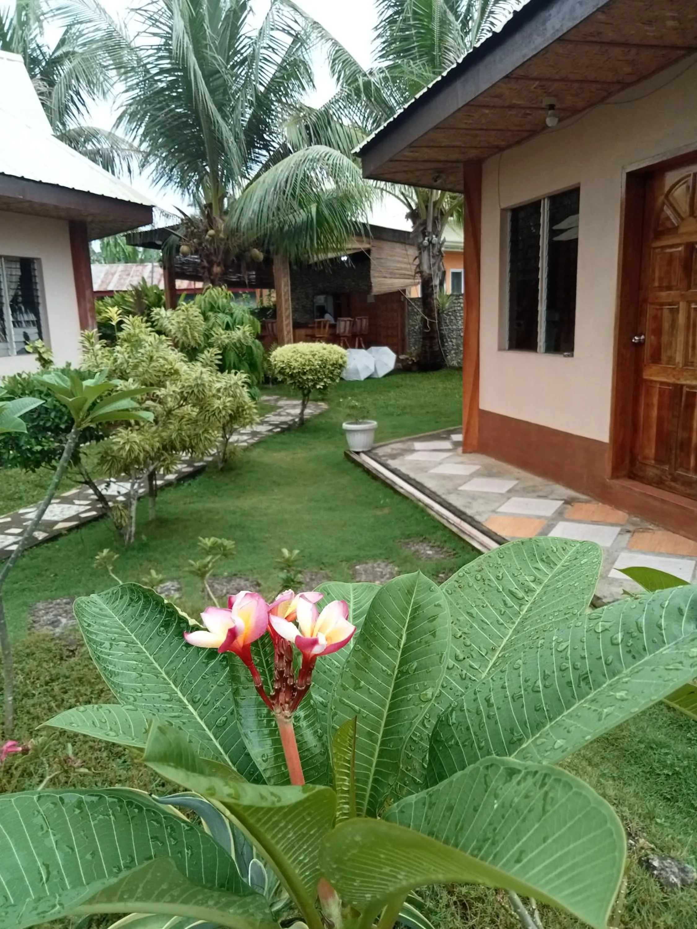 Garden view in Hotel Renate