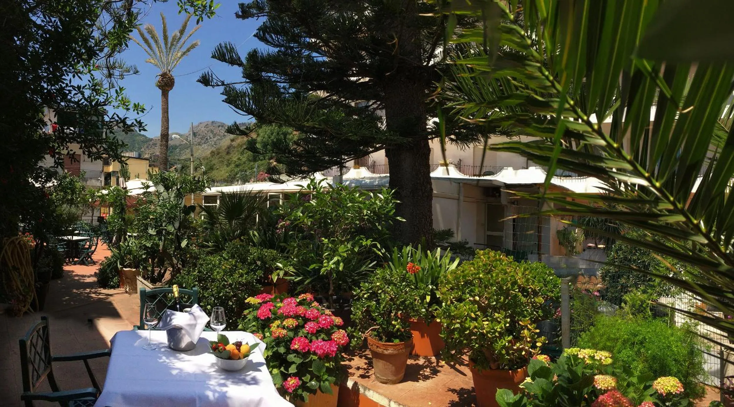 Hotel delle Palme